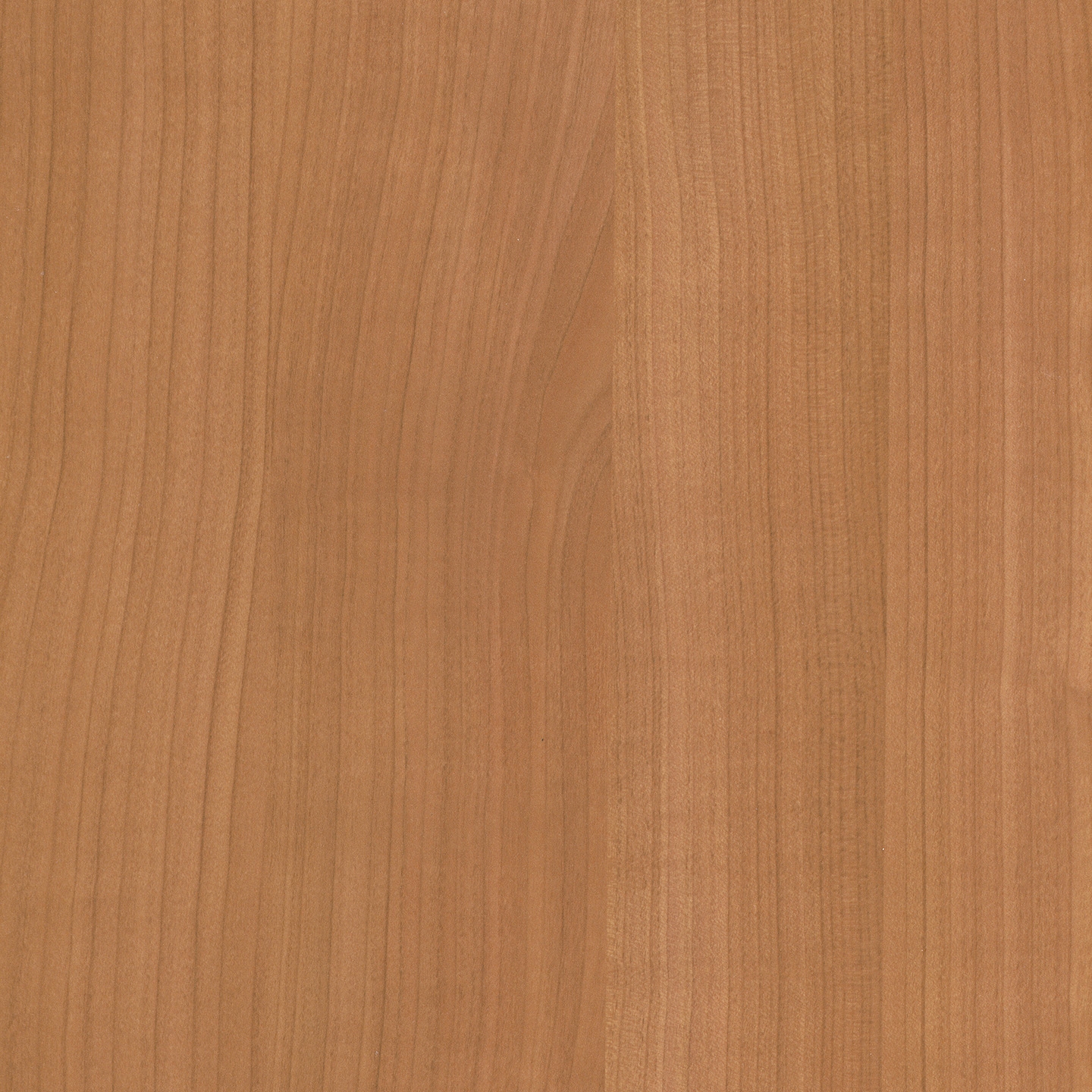 Display product RESOPAL Woods | Morello Cherry from manufacturer Resopal