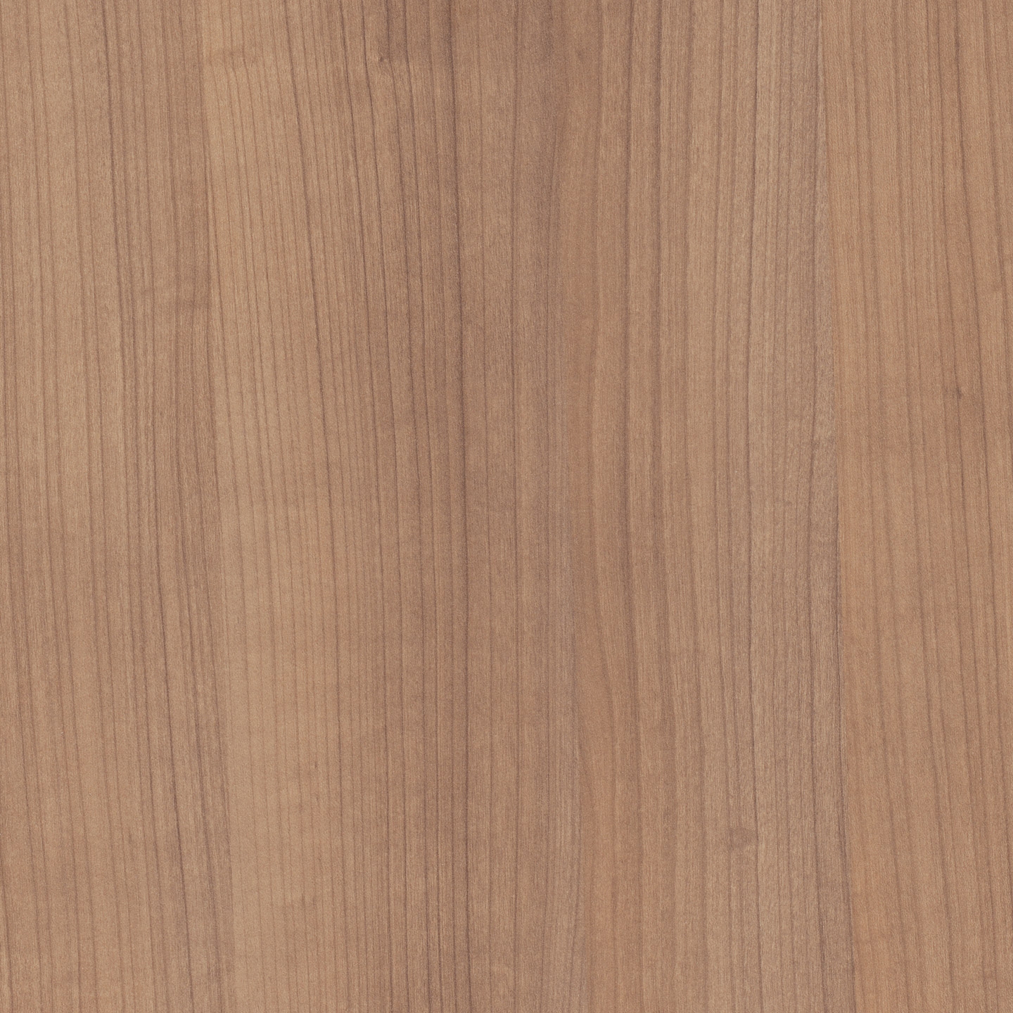 Vertoon produk RESOPAL Woods | Mono Deluxe van vervaardiger Resopal