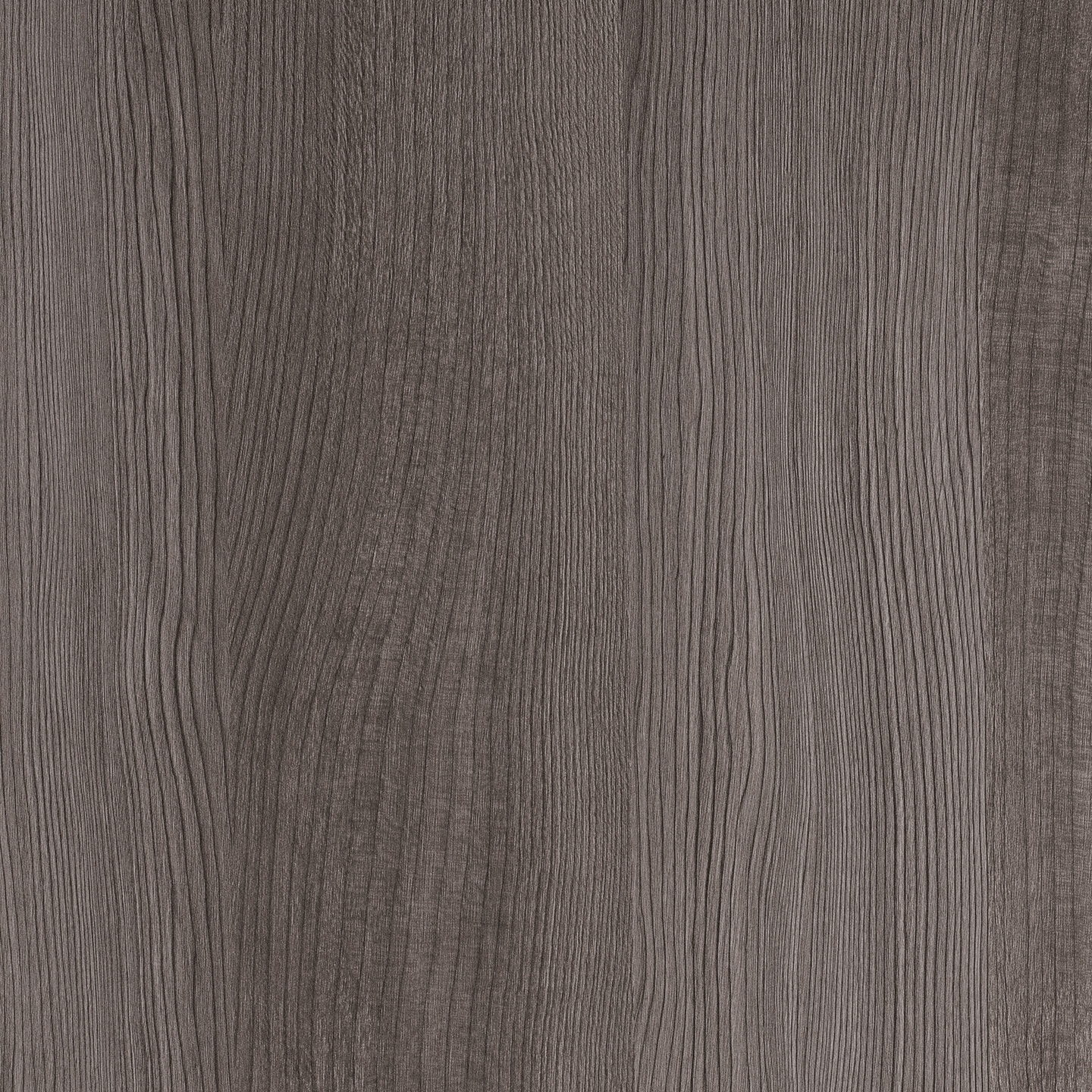 Display product RESOPAL Woods | Silver Pine from manufacturer Resopal