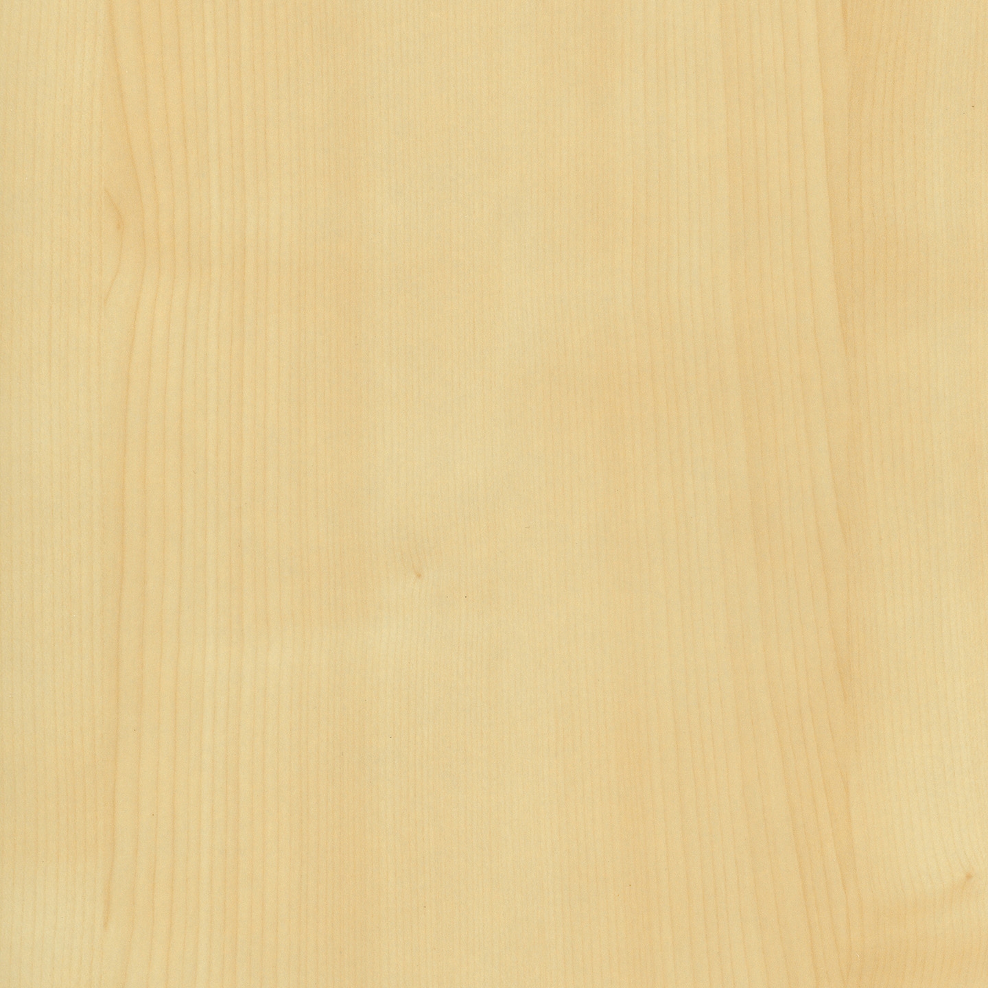 Display product RESOPAL Woods | Ambient Maple from manufacturer Resopal