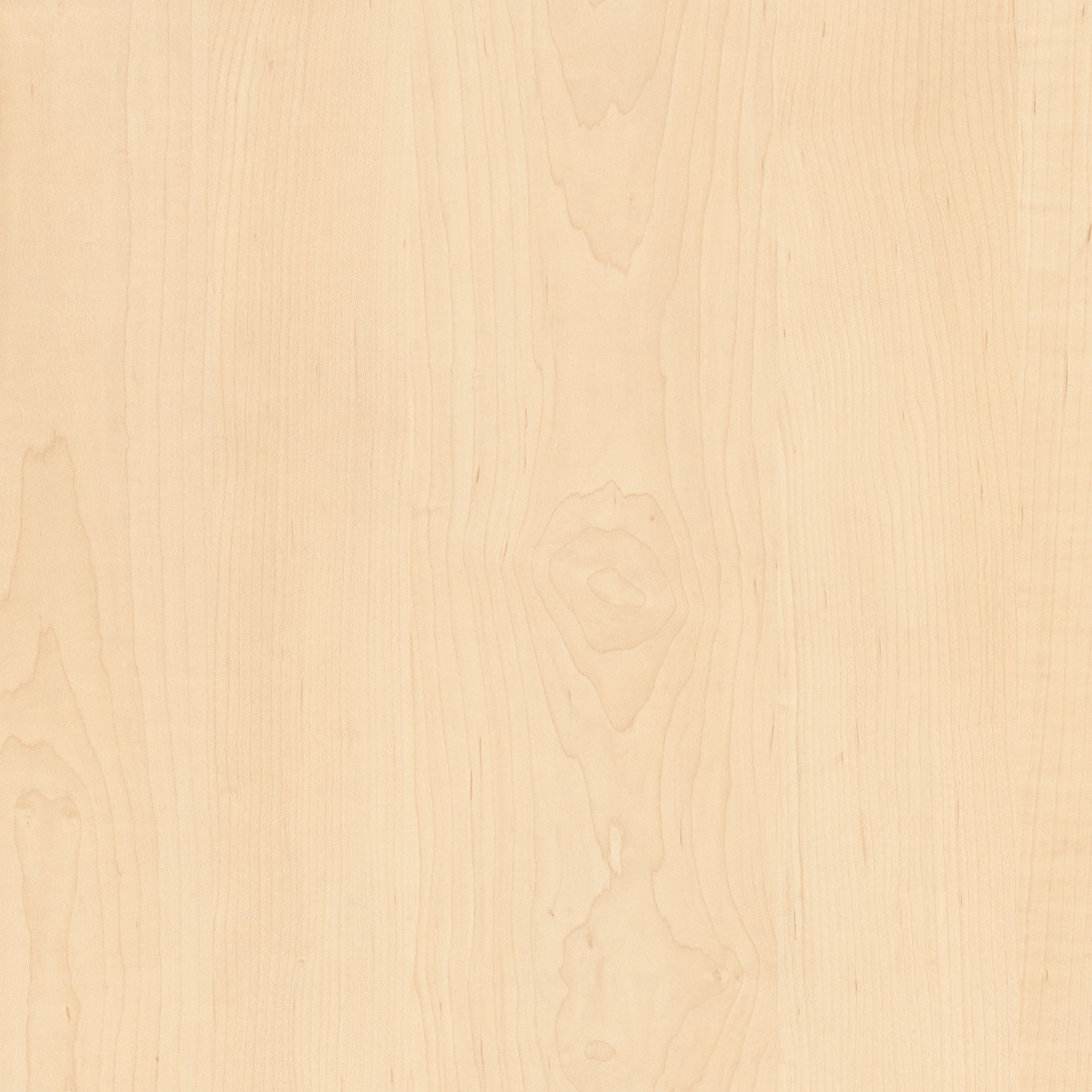 Mostra il prodotto RESOPAL Woods | Display Maple del produttore Resopal