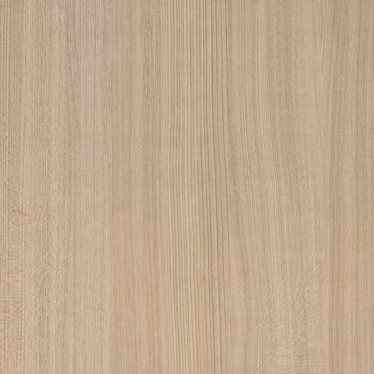 Mostra il prodotto RESOPAL Woods | Soft Elm del produttore Resopal