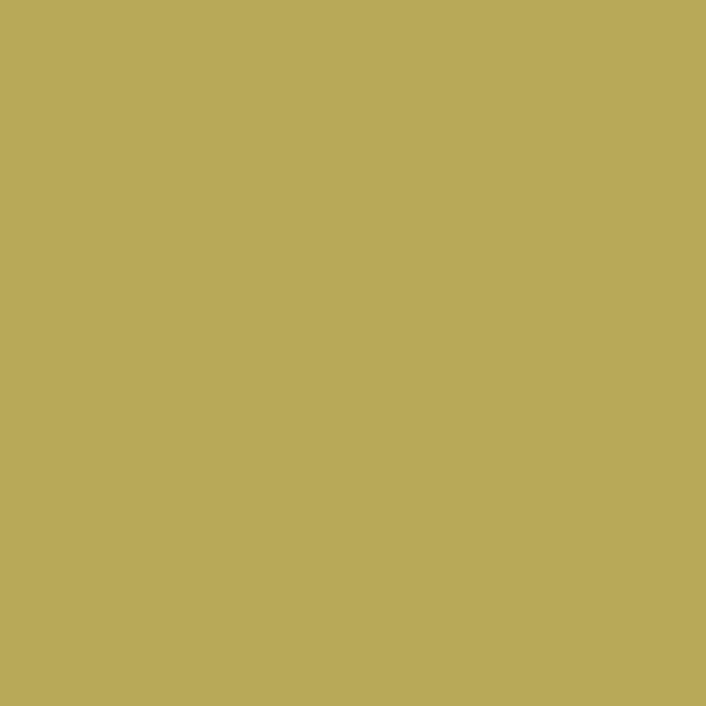 Mostra il prodotto RESOPAL Plain Colours | May Green del produttore Resopal