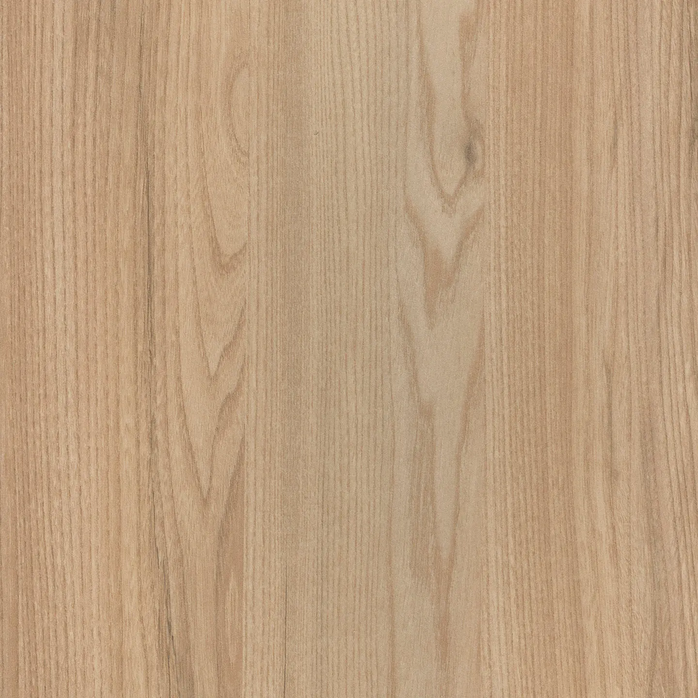 Resopal - RESOPAL Woods | Toronto Elm