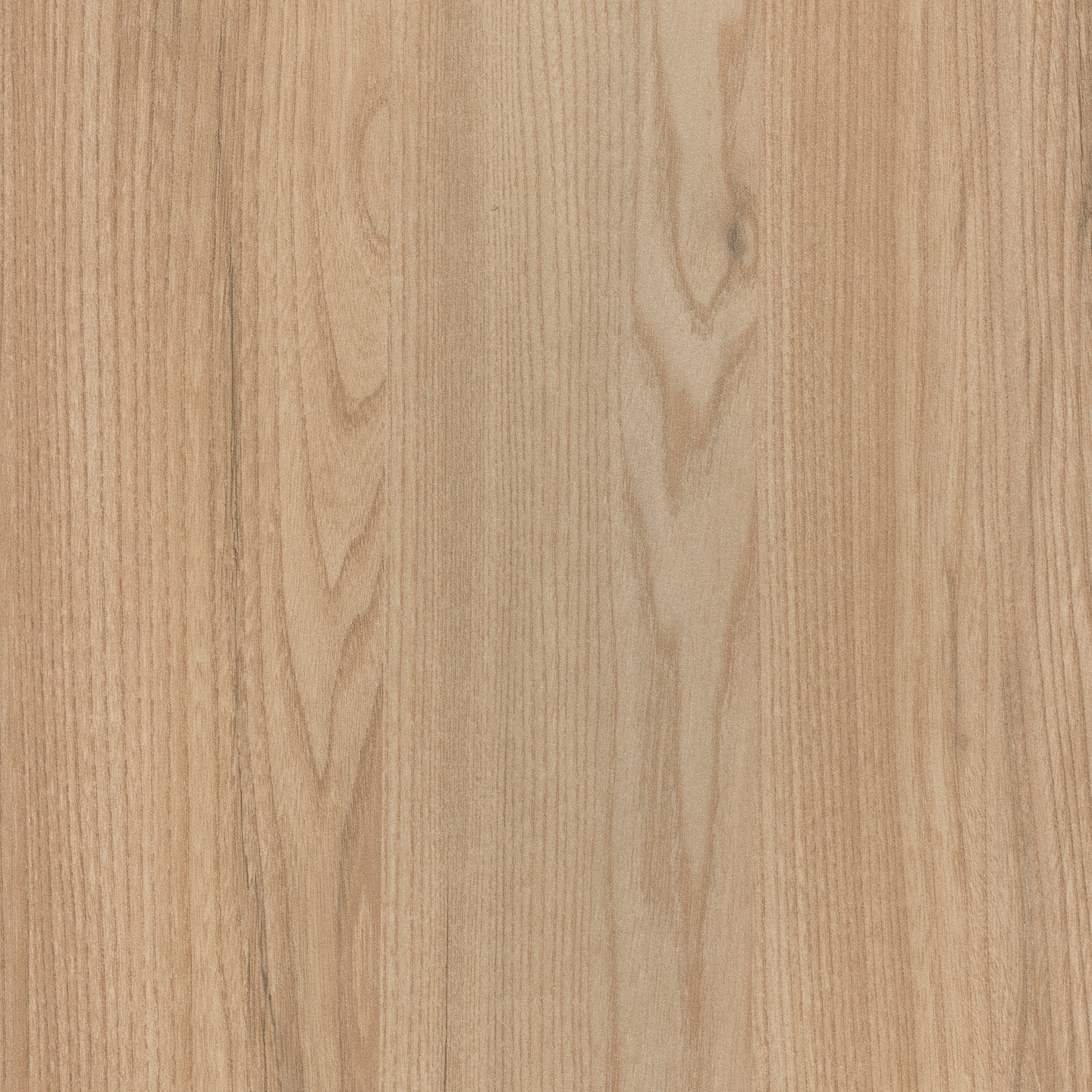 Mostra il prodotto RESOPAL Woods | Toronto Elm del produttore Resopal