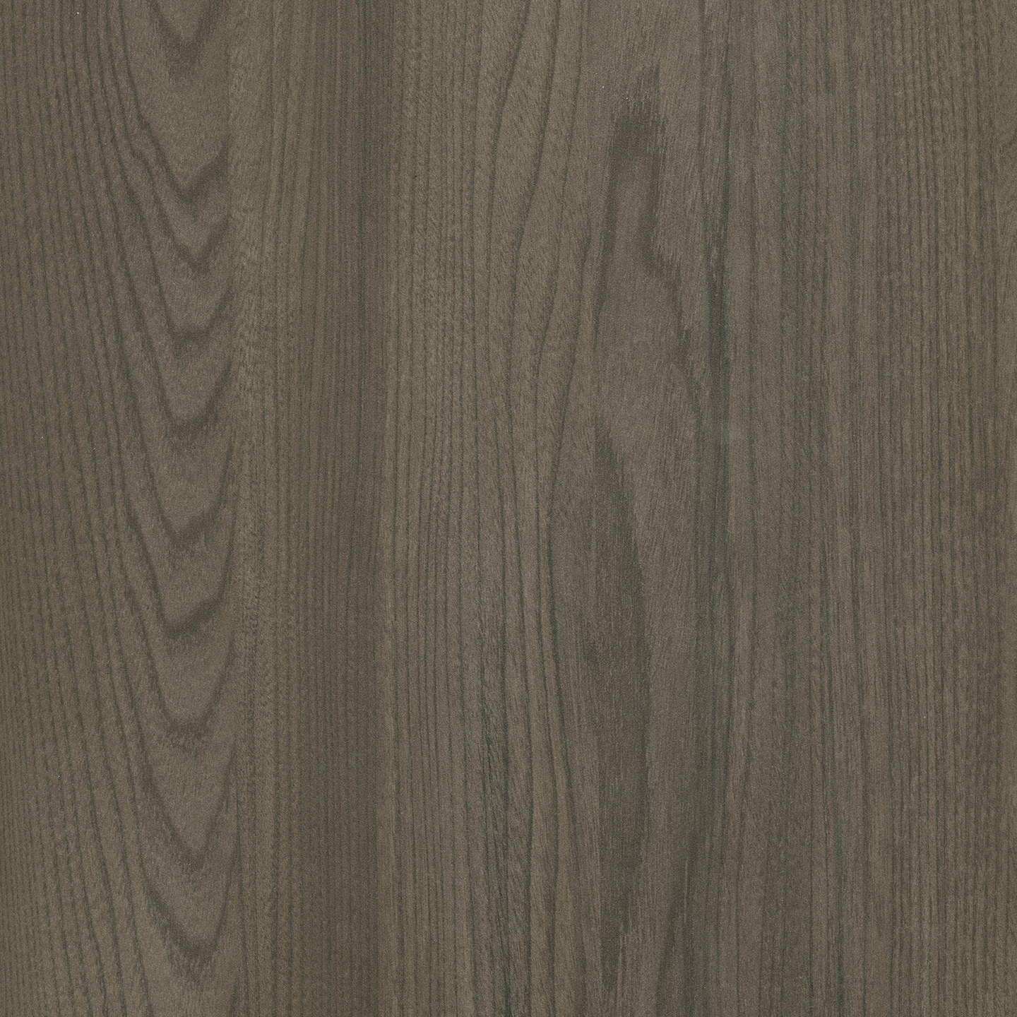 Display product RESOPAL Woods | Michigan Elm from manufacturer Resopal