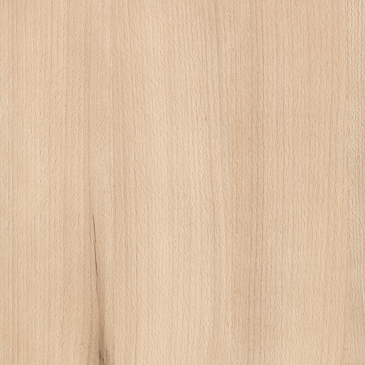 Display product RESOPAL Woods | Essential Light Beech from manufacturer Resopal