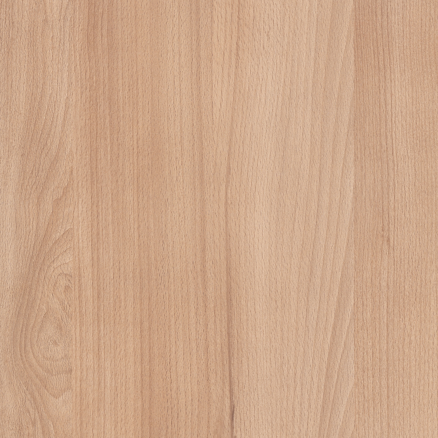 Mostra il prodotto RESOPAL Woods | Essential Beech del produttore Resopal