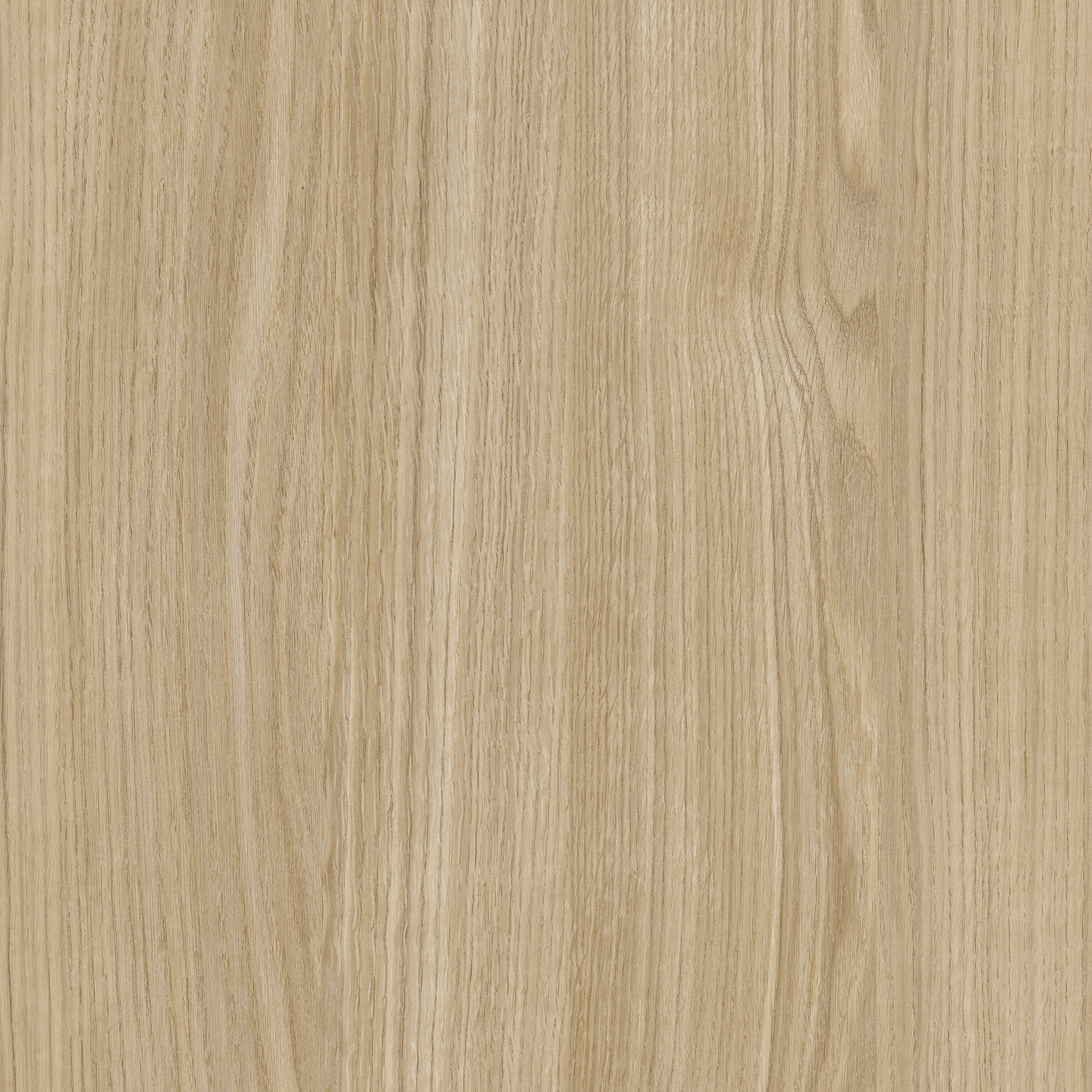 Display product RESOPAL Woods | Glen Oak from manufacturer Resopal