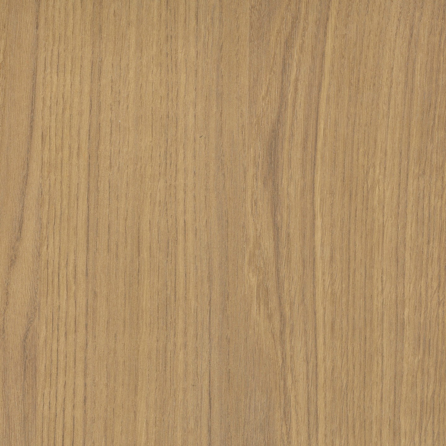 Display product RESOPAL Woods | Honey Oak from manufacturer Resopal