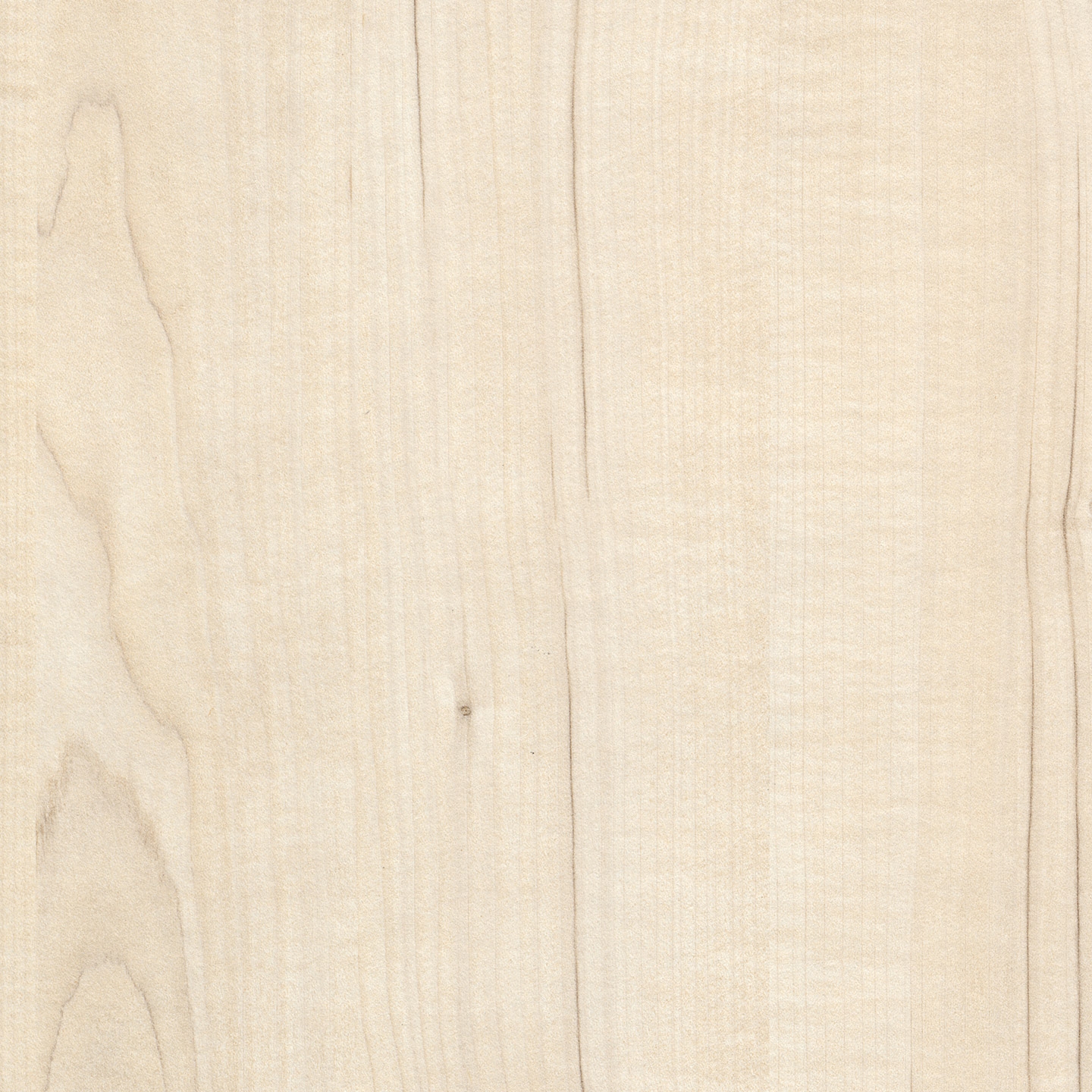 Display product RESOPAL Woods | Visby Maple from manufacturer Resopal