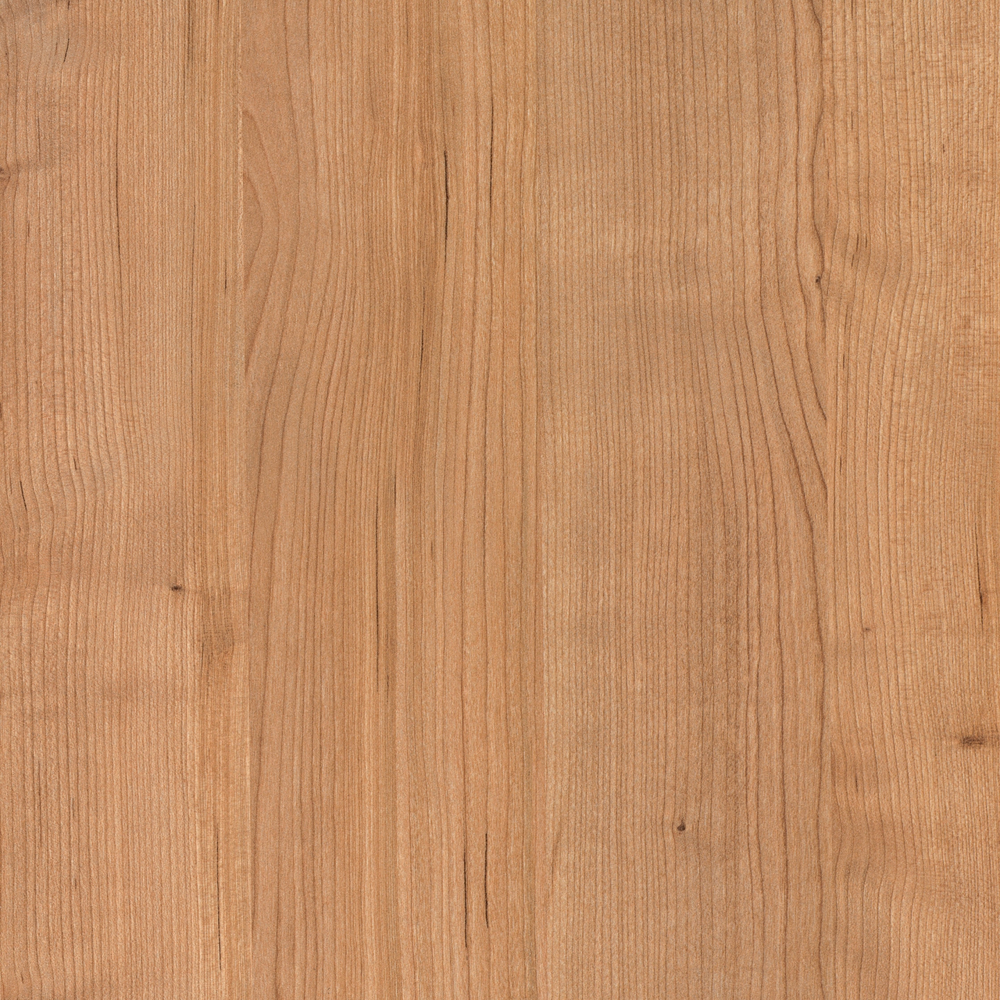 Display product RESOPAL Woods | Amarena Cherry from manufacturer Resopal