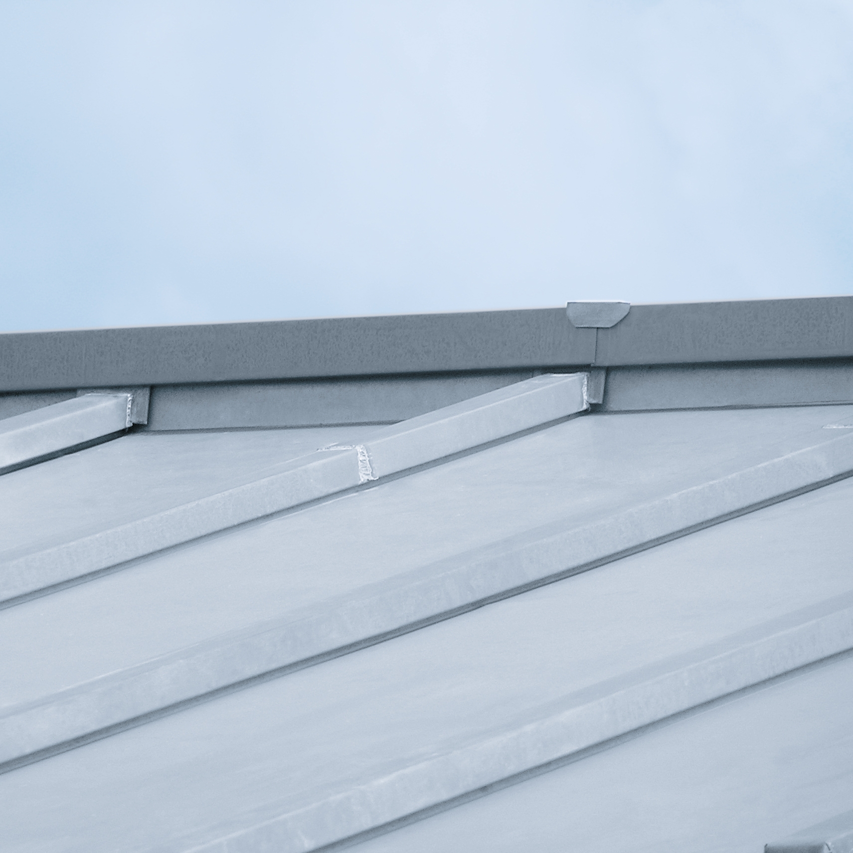 Mostra il prodotto Roof covering | Click roll cap del produttore RHEINZINK
