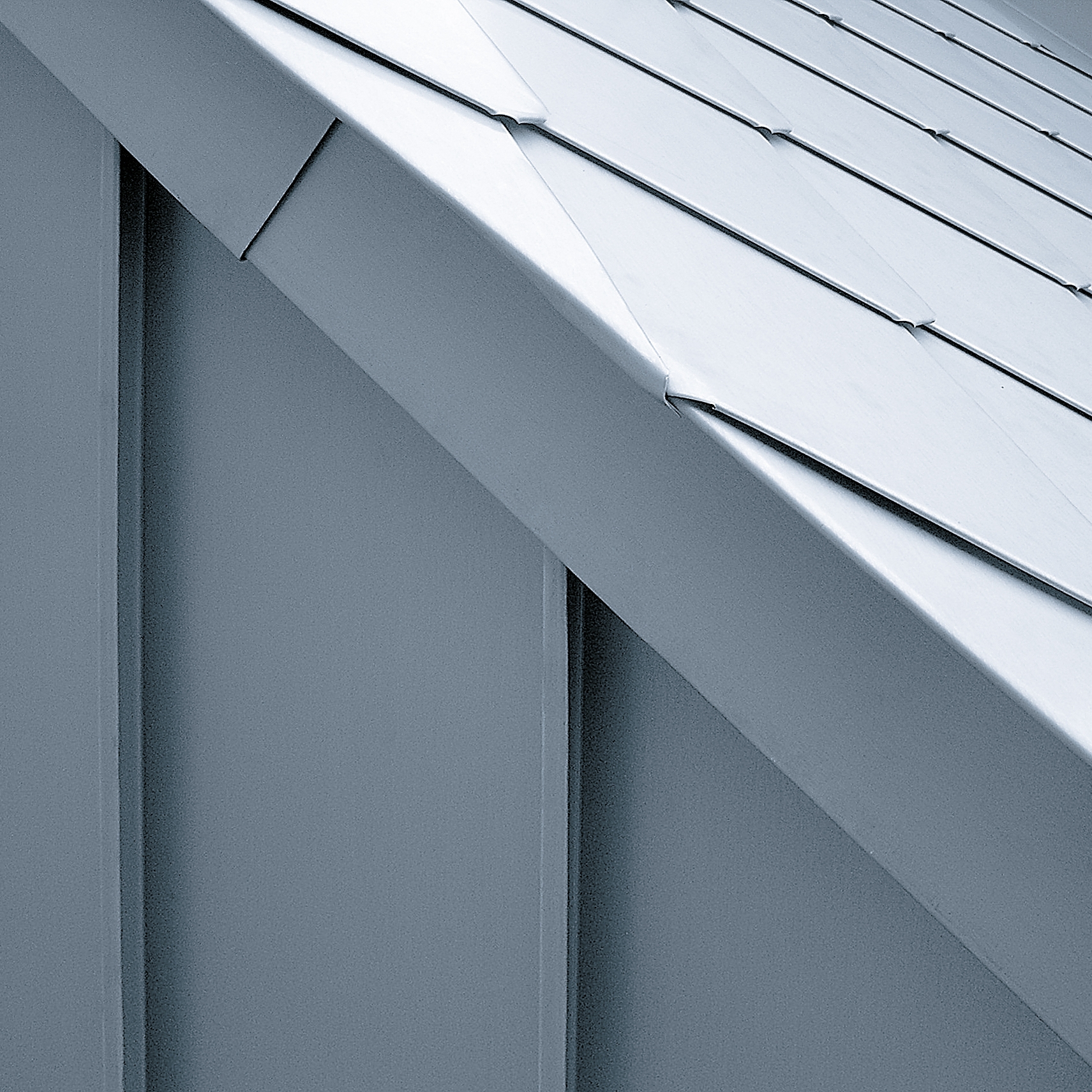 Display product Architectural details | Roof edges & covers from manufacturer RHEINZINK
