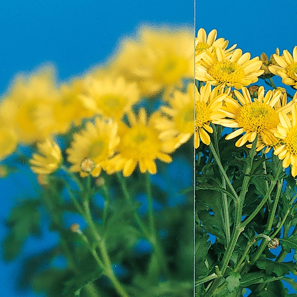 Produkt Satinados LuxMat® des Herstellers Sevasa anzeigen