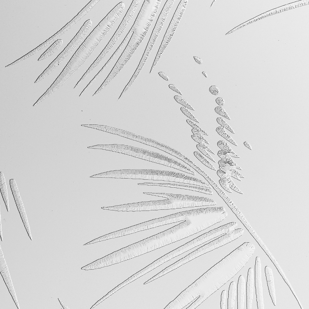 CriSamar® Miami