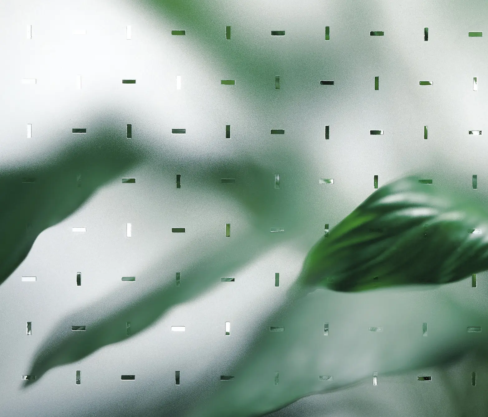 Sevasa - CriSamar® California