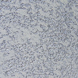 Display product Colourwash L0006 W5887 from manufacturer Armourcoat