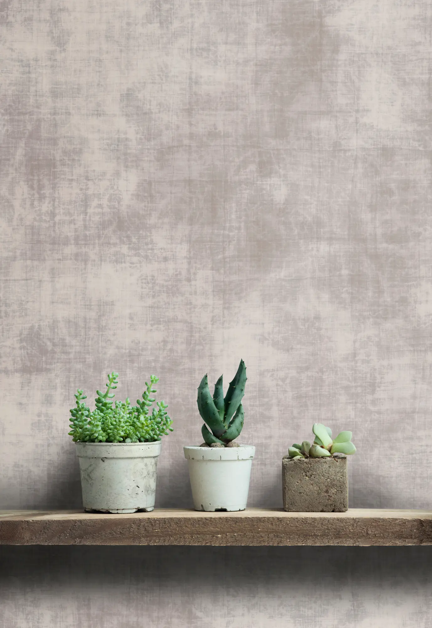 Architects Paper - Walls By Patel | Tapete | Digitaldruck Greige Canvas 2