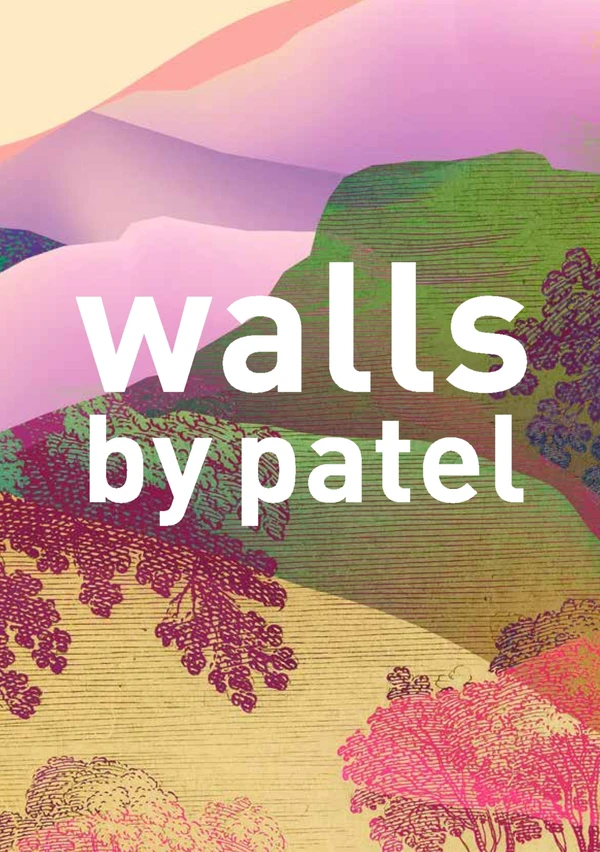 Preview image for the file Walls by Patel III