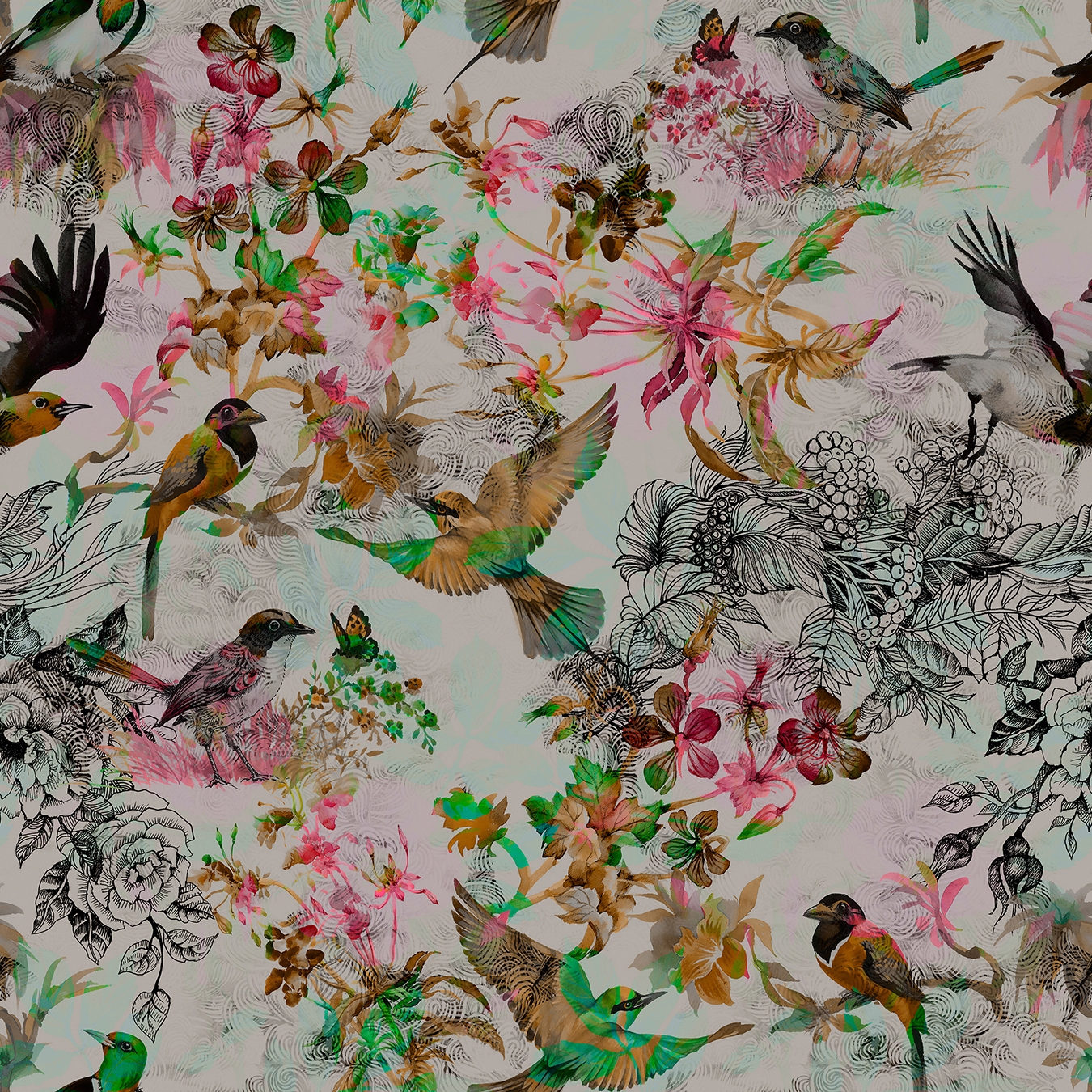 Walls By Patel | Wallpaper Funky Birds 1