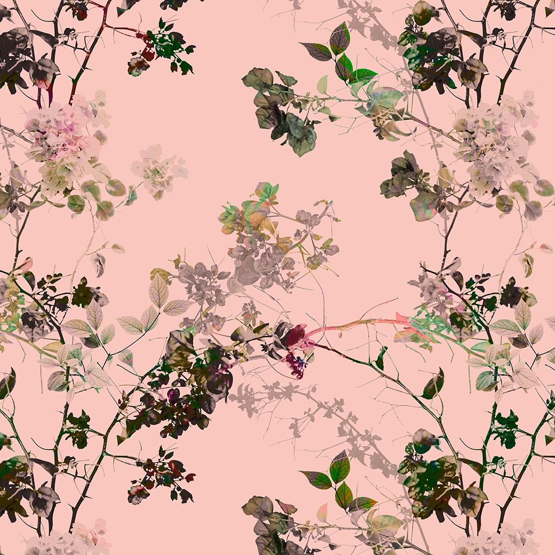 Display product Walls By Patel | Wallpaper Branches 1 from manufacturer Architects Paper
