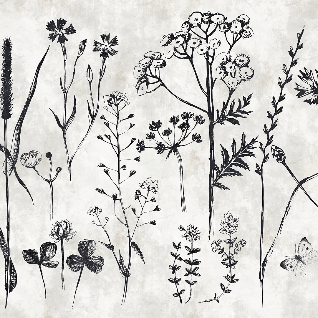 Walls By Patel | Wallpaper Sketchpad 1