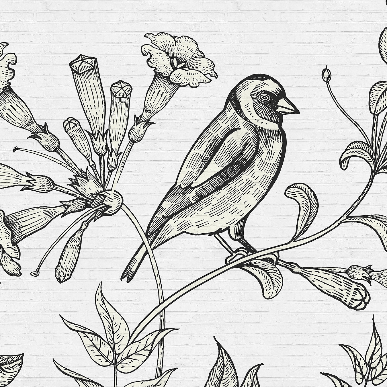 Display product Walls By Patel | Wallpaper Birdy 1 from manufacturer Architects Paper