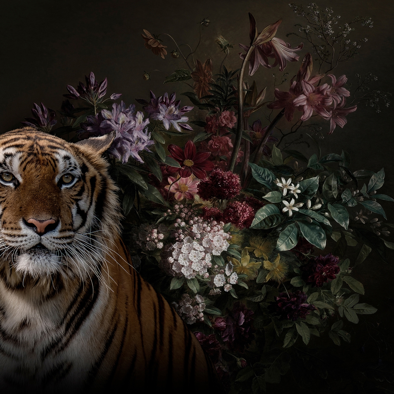 Walls By Patel | Wallpaper Wildlife 1