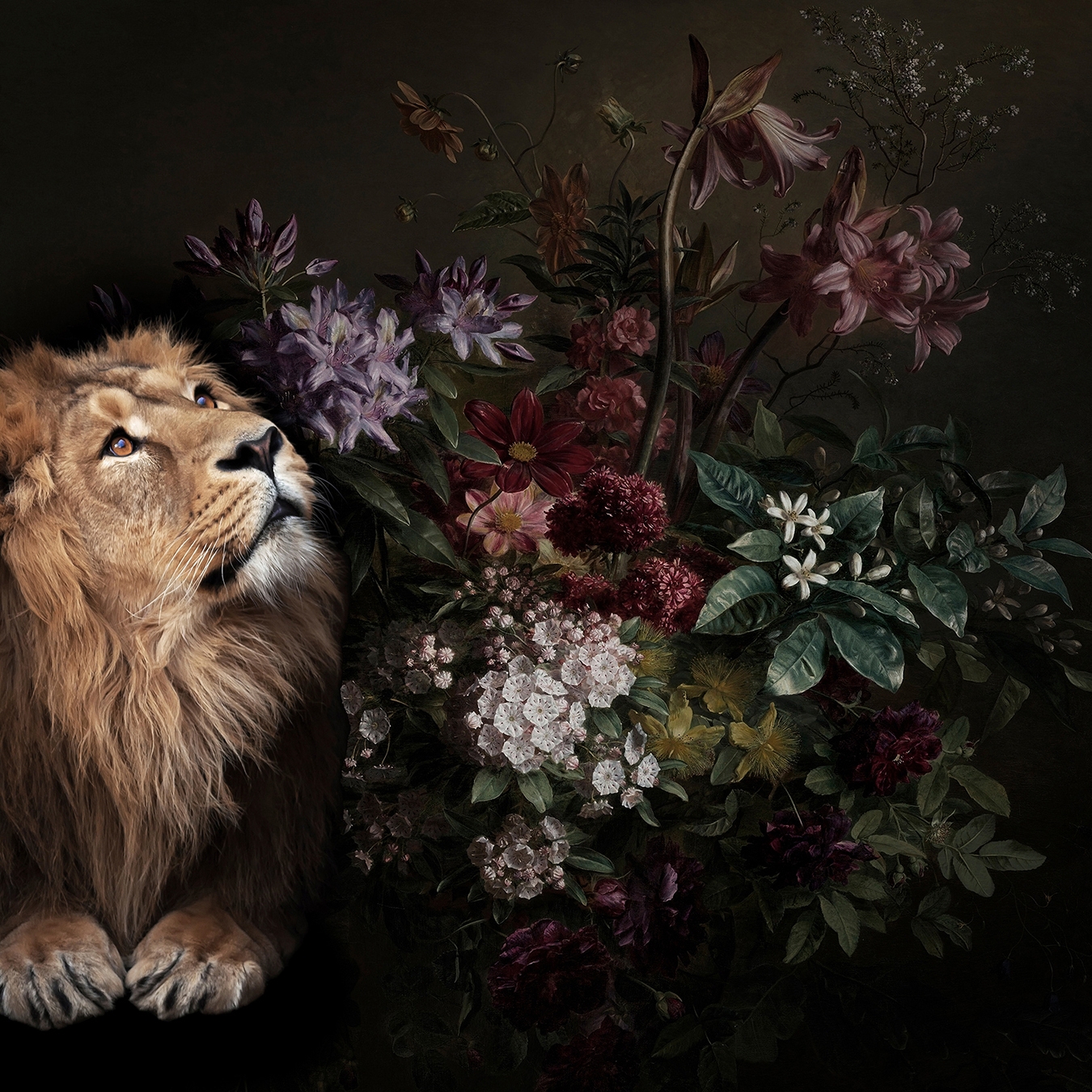 Walls By Patel | Wallpaper Wildlife 2