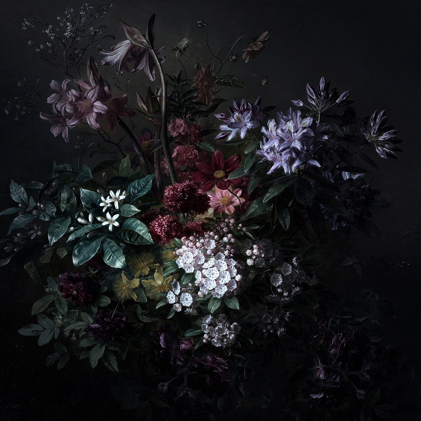 Walls By Patel | Carta da Parati Bouquet Noir 2