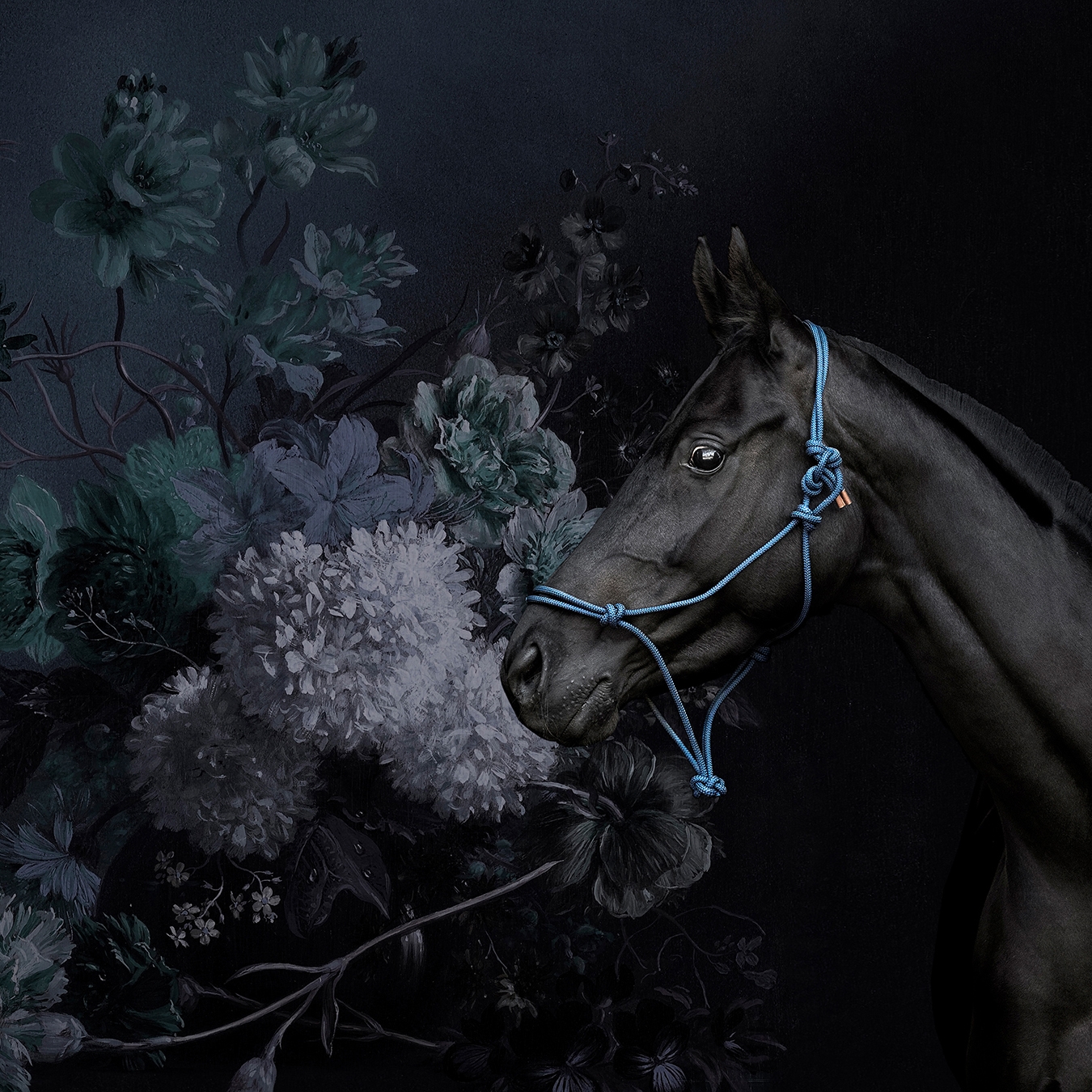 Walls By Patel | Papel Pintado Horses 2