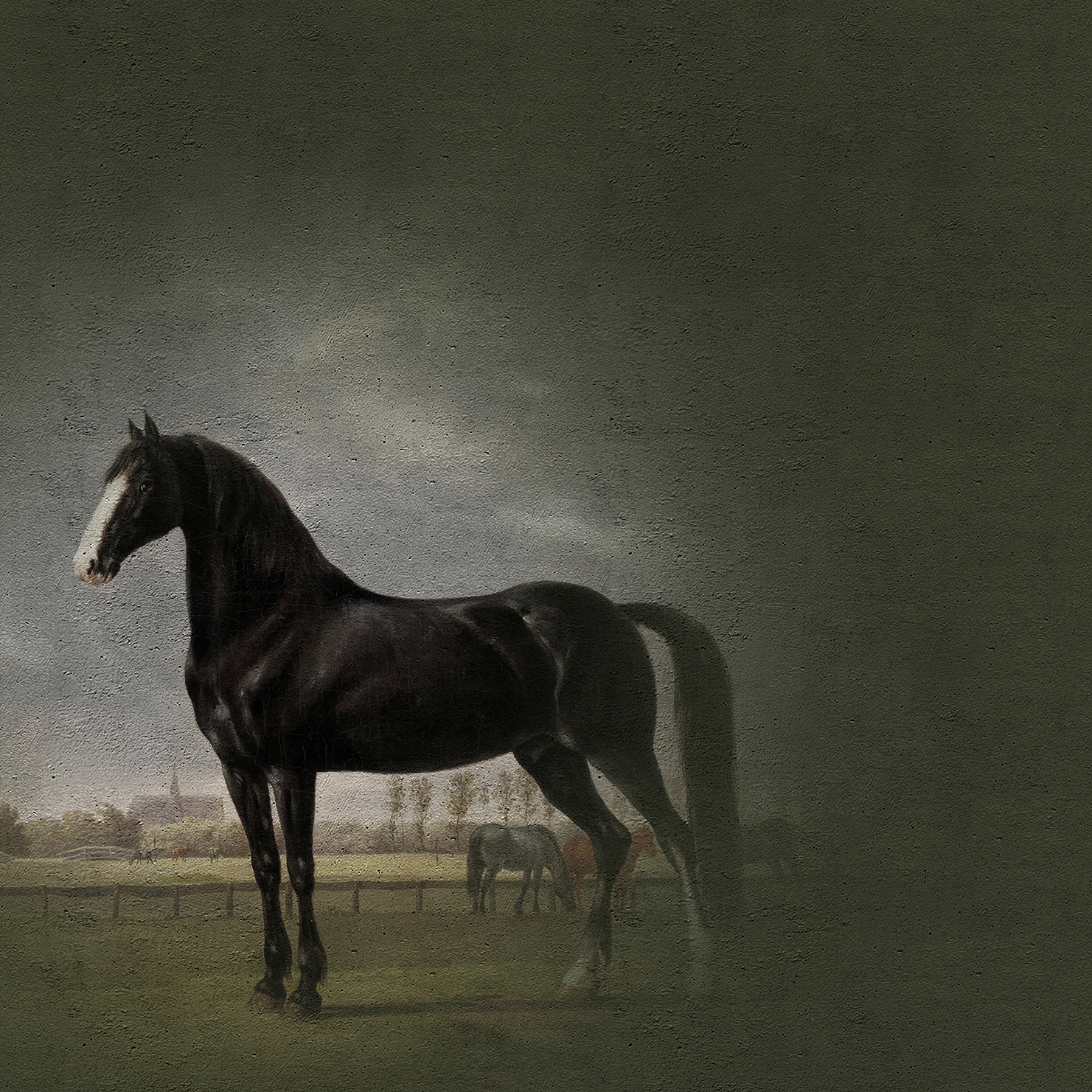 Walls By Patel | Wallpaper Fresco 4