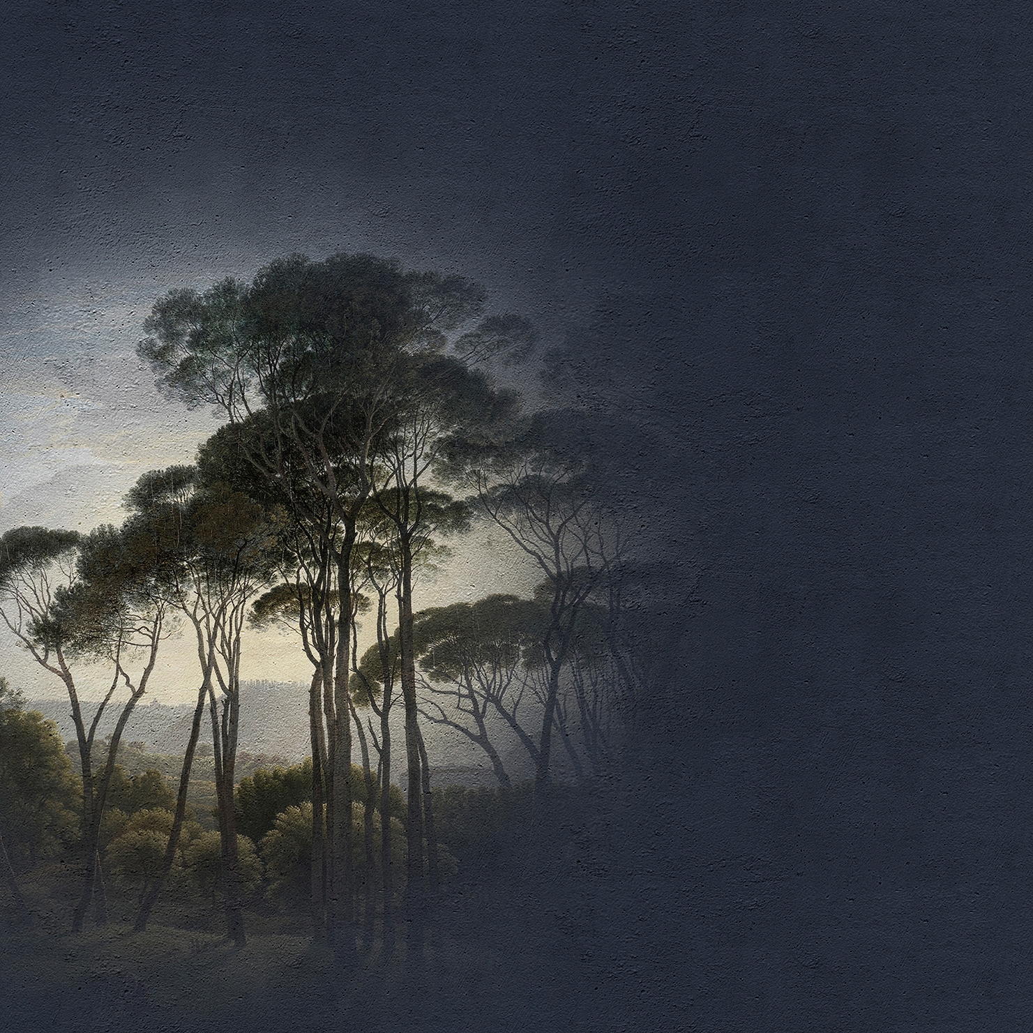 Walls By Patel | Wallpaper Fresco 5