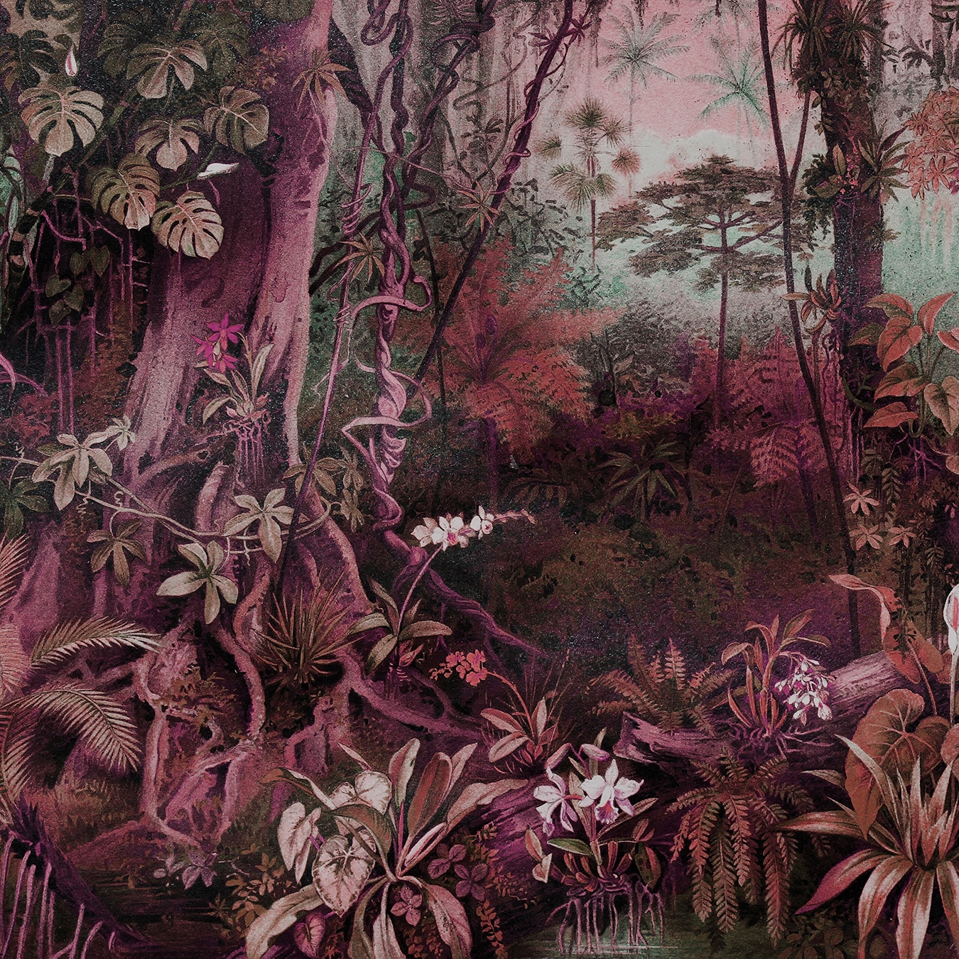 Mostrar el producto Walls By Patel | Papel Pintado Jungle 1 del fabricante Architects Paper
