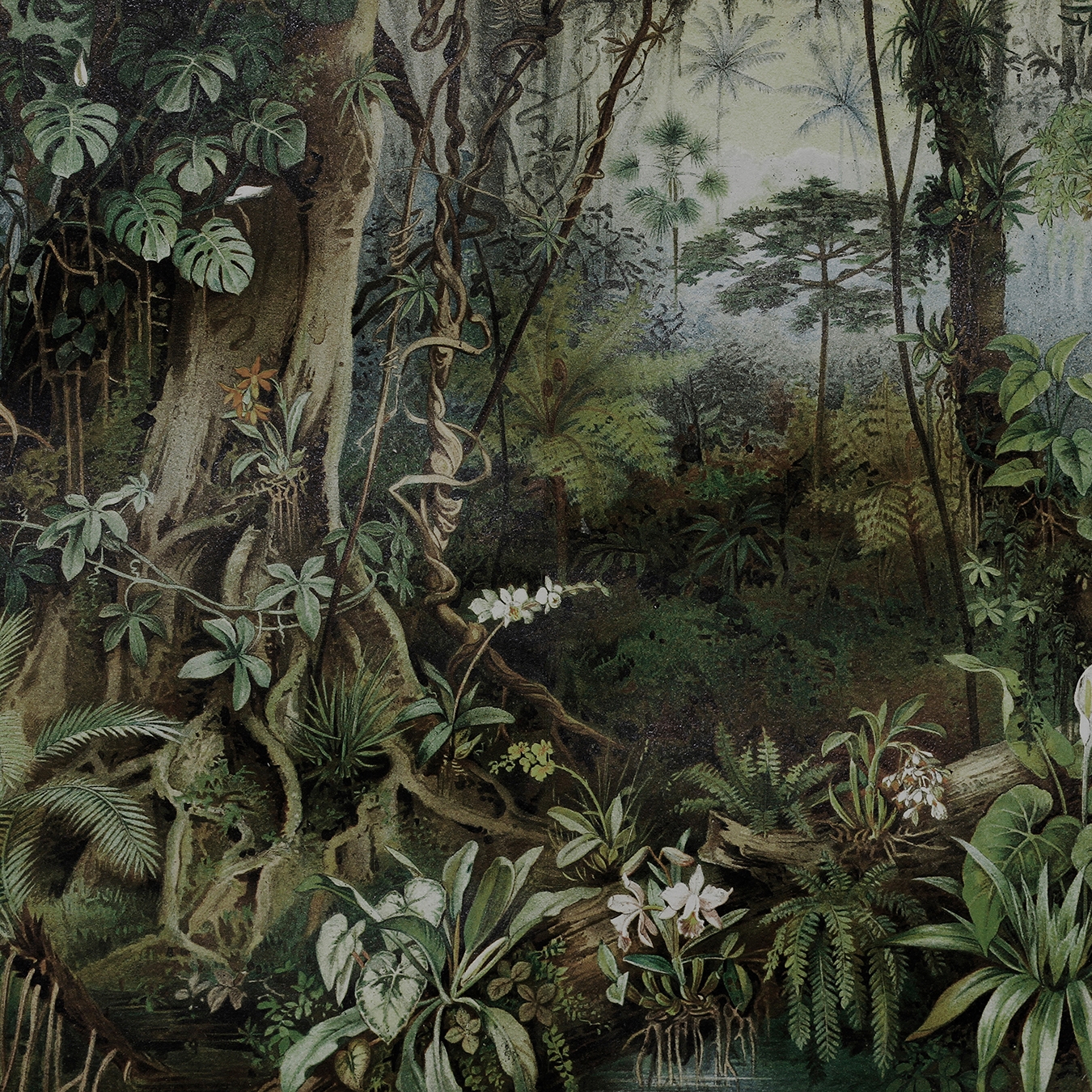 Walls By Patel | Papel Pintado Jungle 2