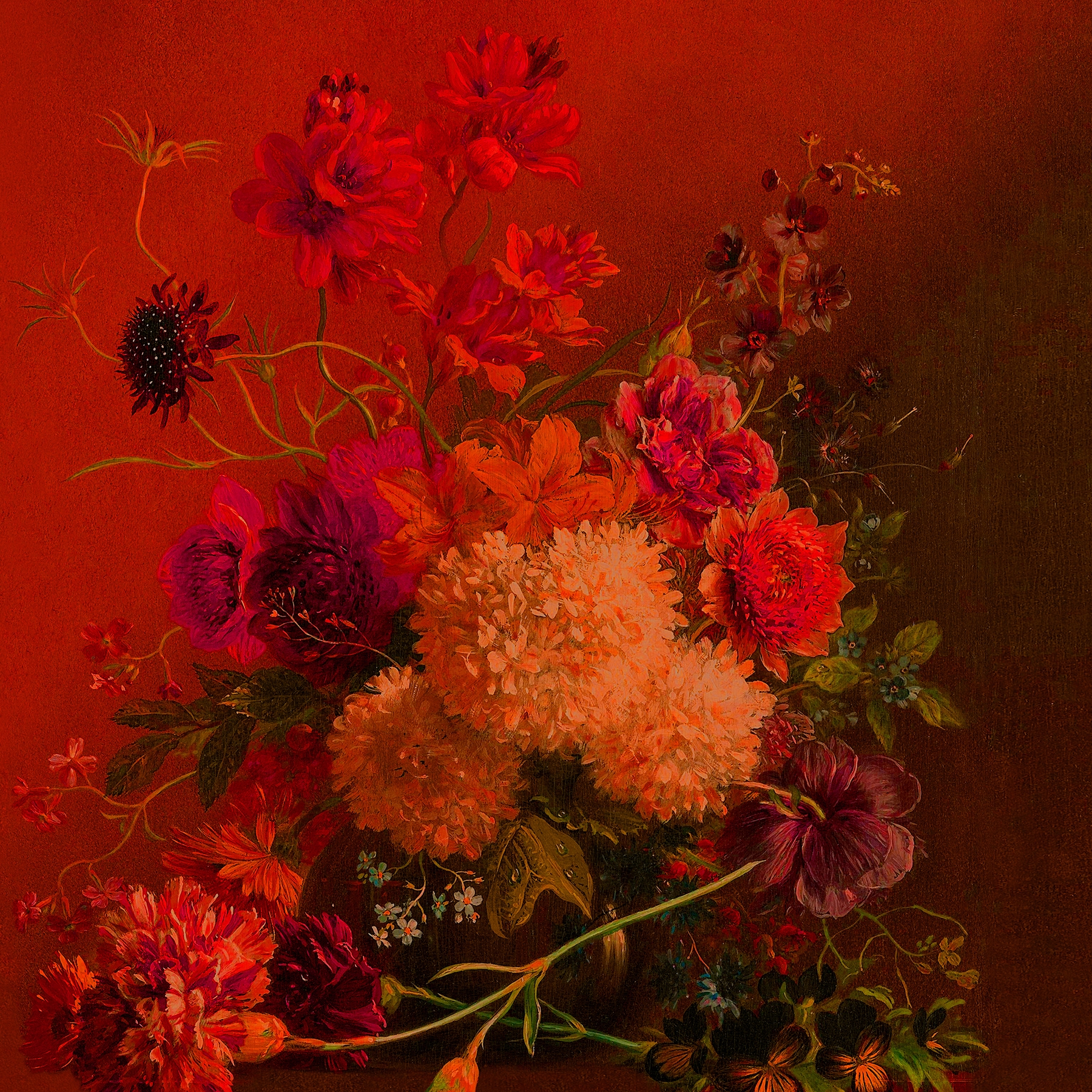 Walls By Patel | Wallpaper Bouquetvibran 1