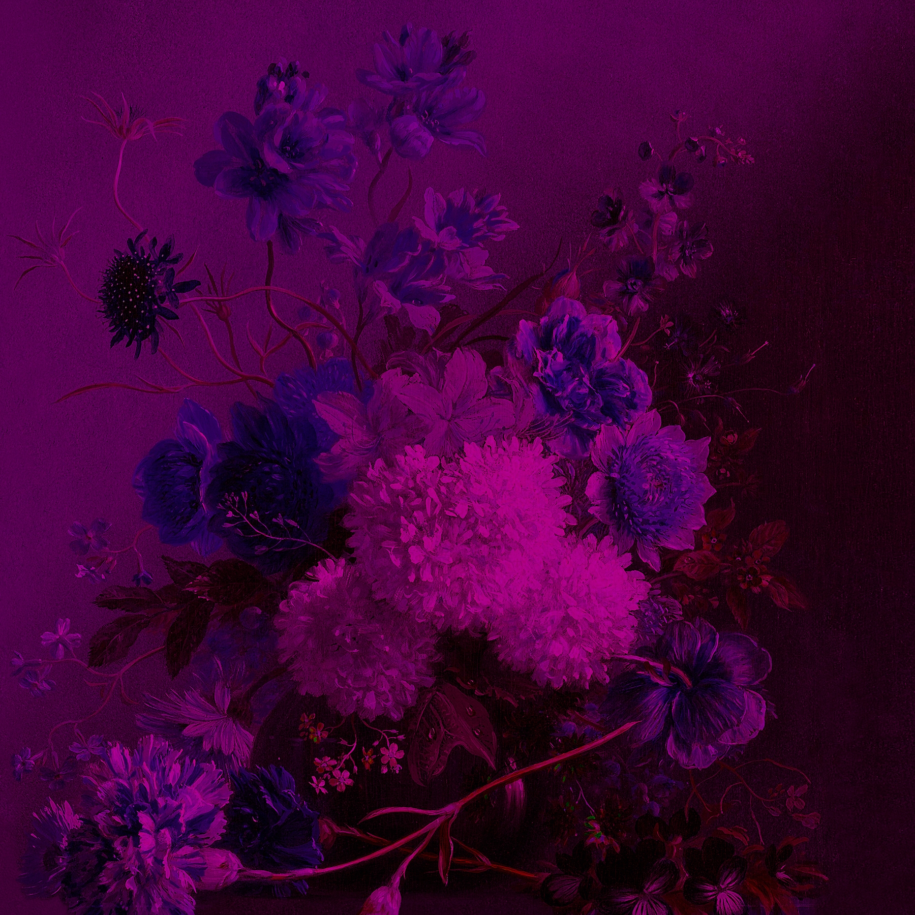 Mostra il prodotto Walls By Patel | Wallpaper Bouquetvibran 3 del produttore Architects Paper