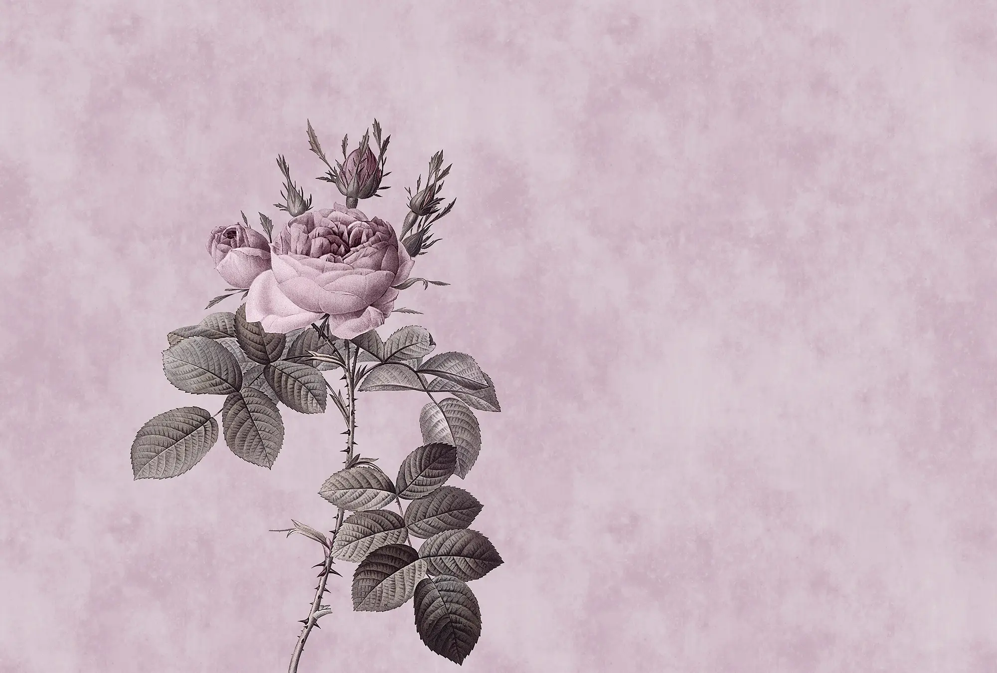 Architects Paper - Walls By Patel | Wallpaper Rose 1