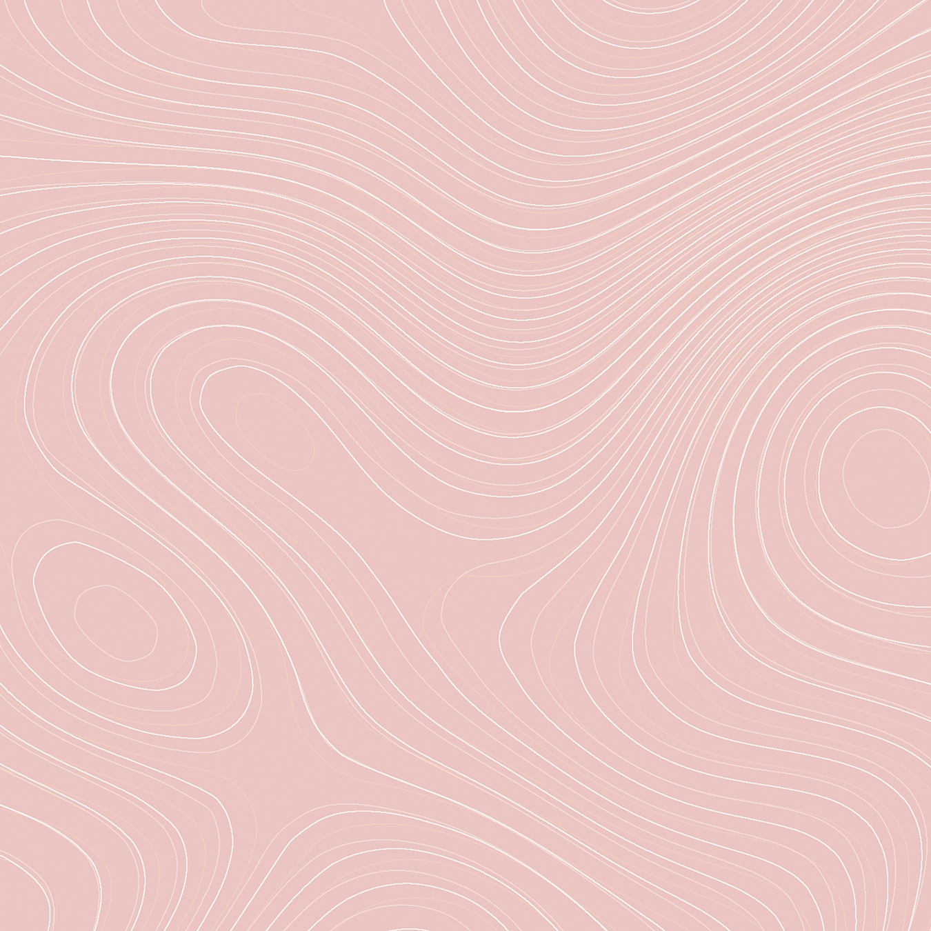 Walls By Patel | Wallpaper Zen Garden 1