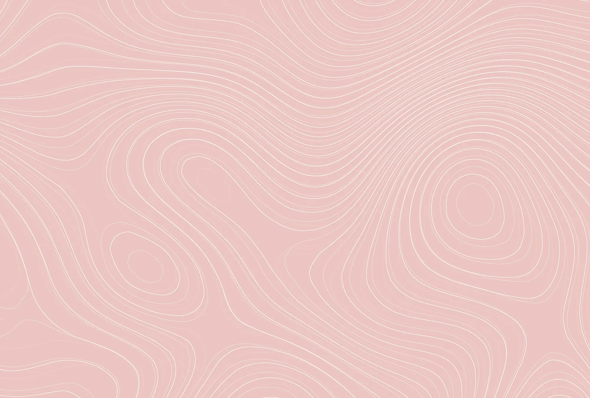 Architects Paper - Walls By Patel | Papier Peint Zen Garden 1