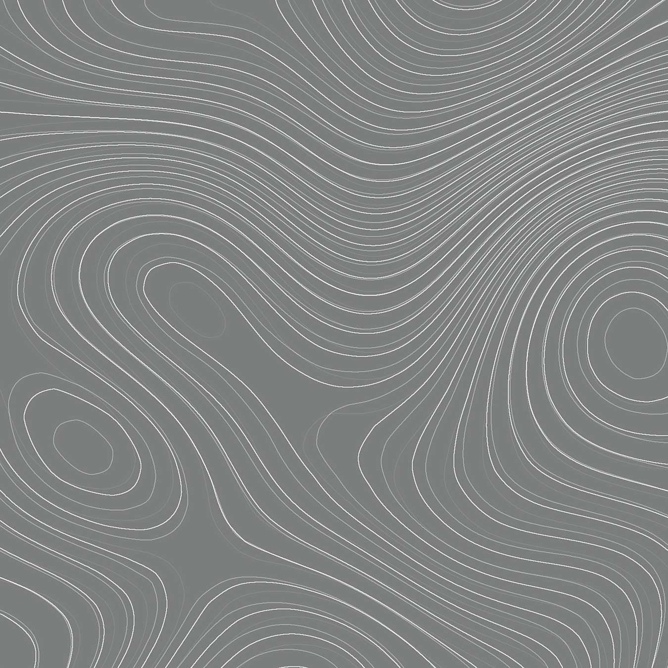 Walls By Patel | Wallpaper Zen Garden 3