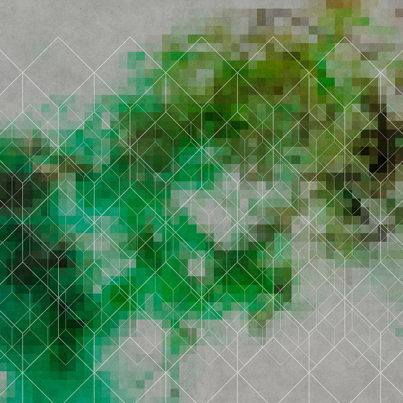Walls By Patel | Papel Pintado Colournetwork 3