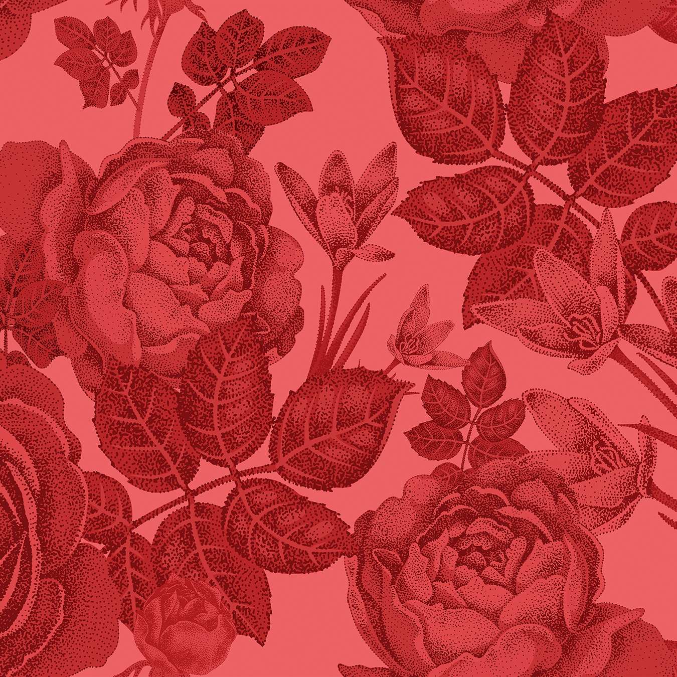 Walls By Patel | Carta da Parati Baccara 2