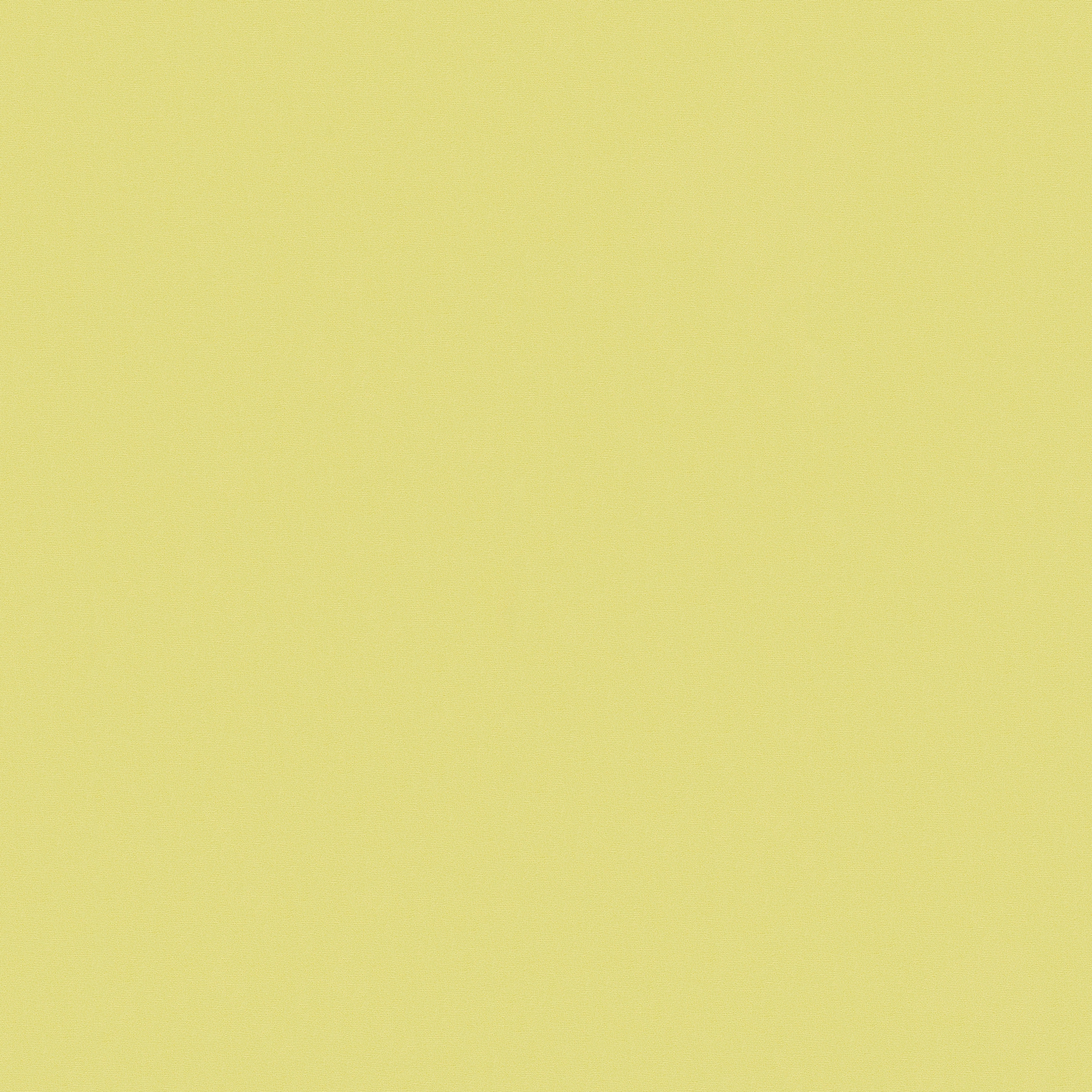 Display product Metropolitan Stories | Wallpaper 369325 Lola - Paris from manufacturer Architects Paper