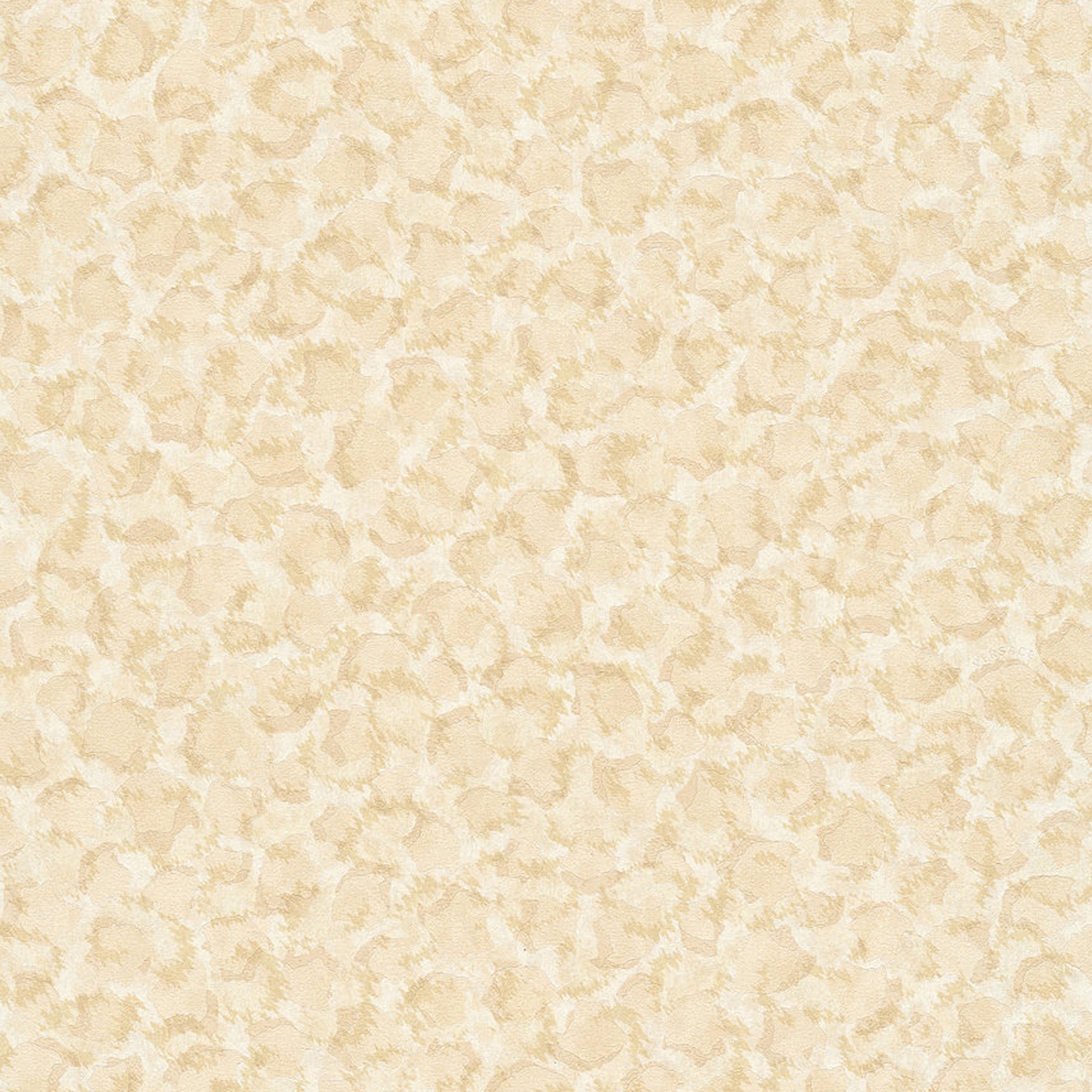 Display product Versace 3 | Wallpaper 349024 Vasmara from manufacturer Architects Paper