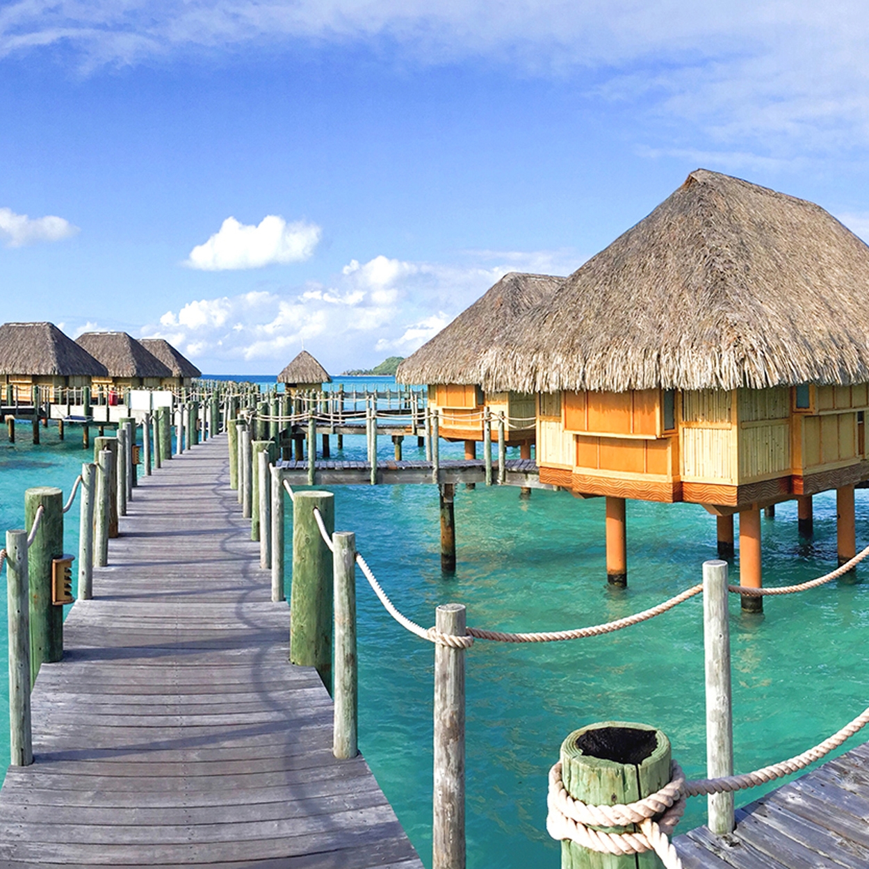 Display product Ap Digital 3 | Wallpaper 471842 Tahiti Village from manufacturer Architects Paper