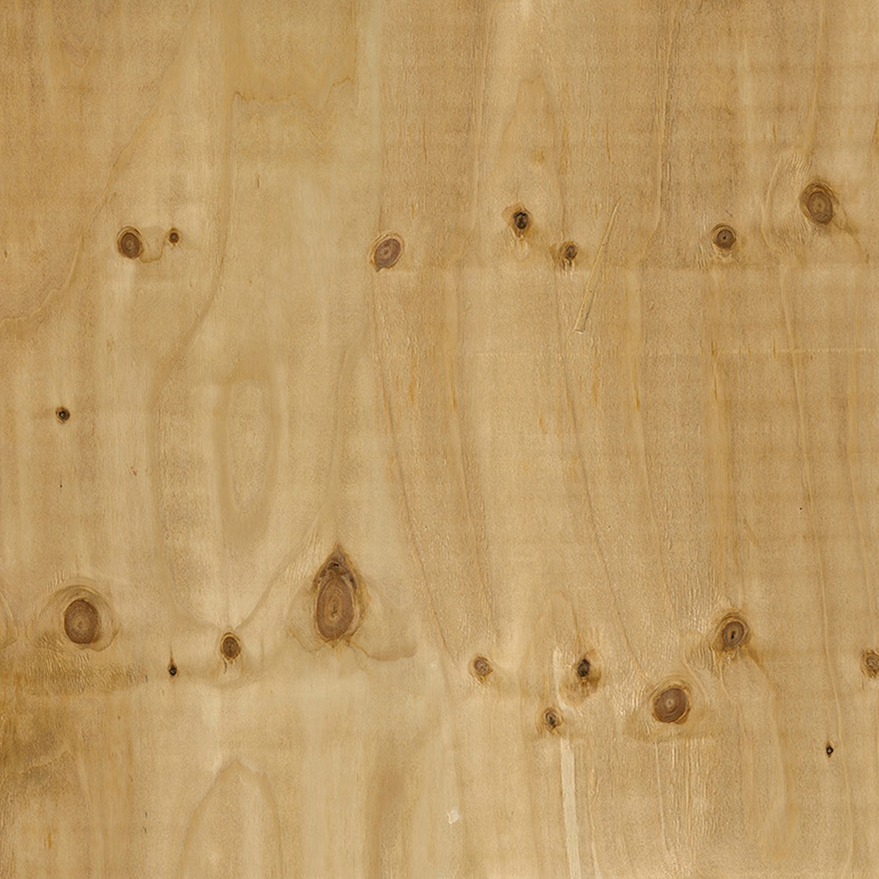 Display product Ap Digital 4 | Wallpaper DD108640 Plywood from manufacturer Architects Paper