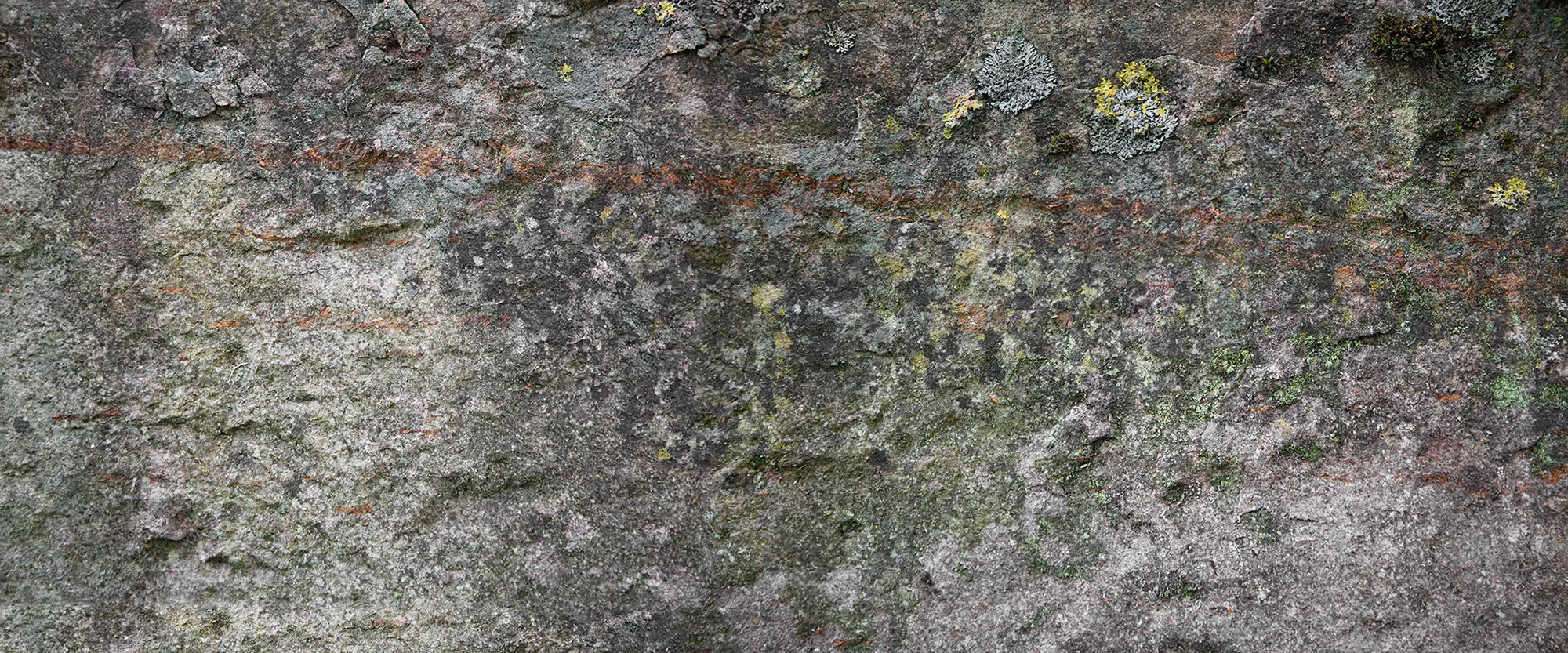 Architects Paper - Ap Digital 4 | Wallpaper DD108725 Stone Trough