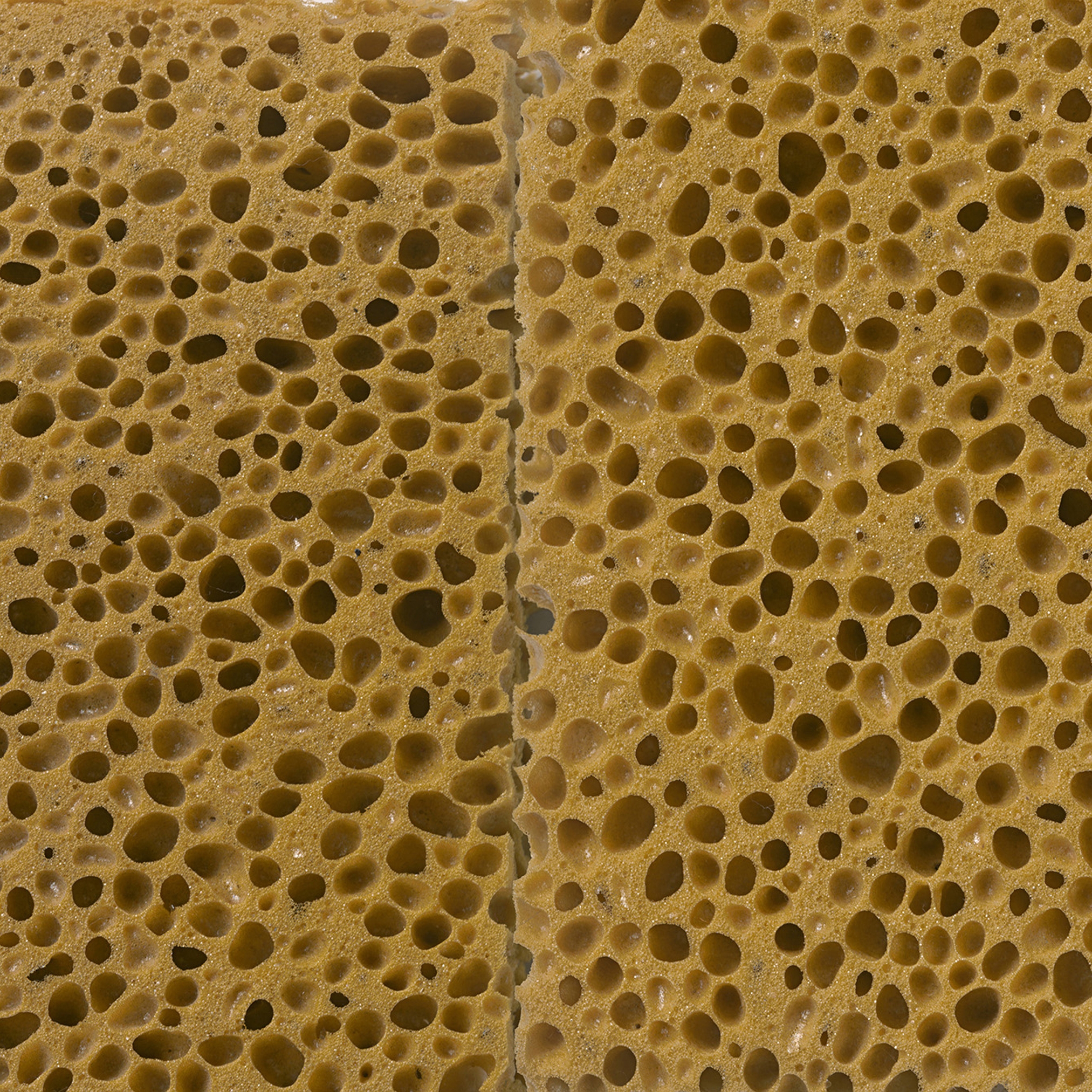 Produkt Ap Digital 4 | Wallpaper DD108825 Sponge des Herstellers Architects Paper anzeigen